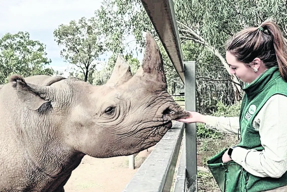Winter is a great time to visit Taronga Western Plains Zoo, with the cold weather often bringing a number of species out of their shells. Photo: Supplied.