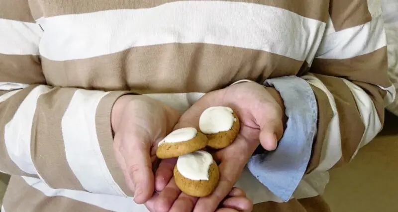 How the honey jumble avoids extinction in the bush