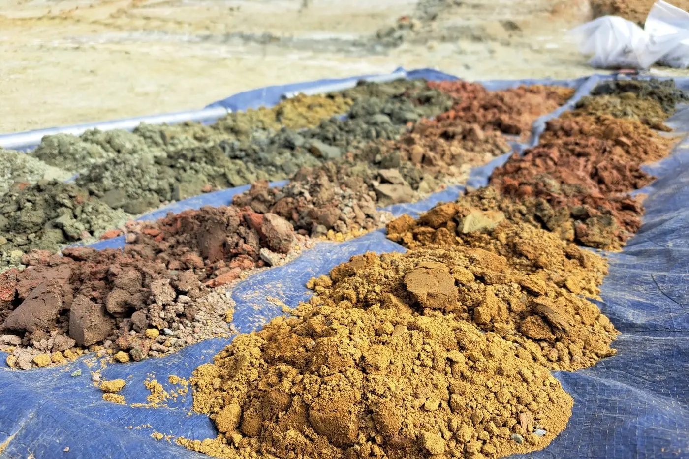 Tailings samples retrieved by hand auger during the survey. Photo: Supplied.