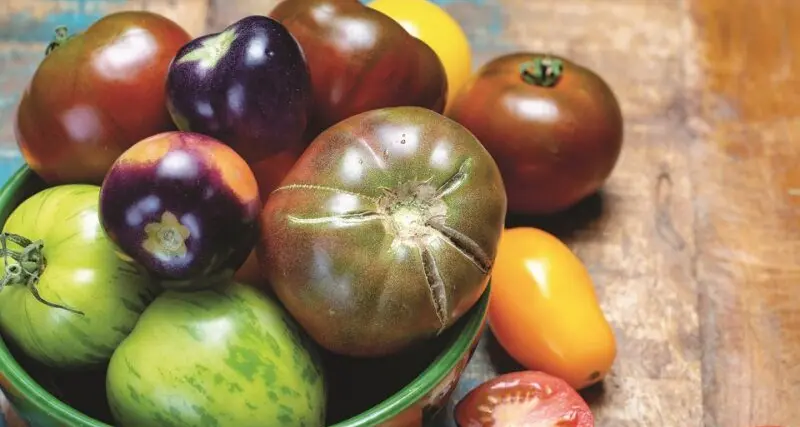 Planting heirloom vegetables 101
