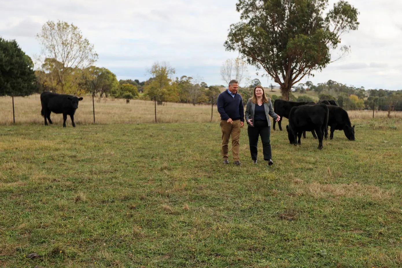 Member for Orange Phil Donato and NSW Minister for Agriculture Tara Moriarty at the Orange Agricultural Institute last Wednesday, where Minister Moriarty announced the government would be taking steps to legalise virtual fencing in NSW. Mr Donato has been championing the benefits of virtual fencing for the past three years.