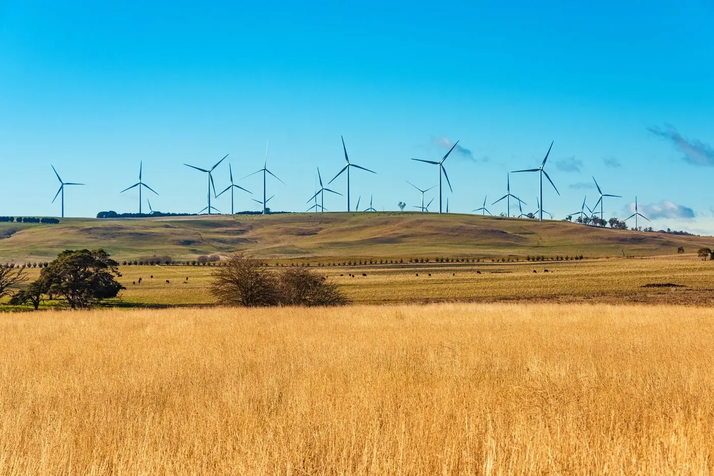 A new guide to help farmers and rural communities navigate the renewable energy transition has recently been launched by NSW Farmers.