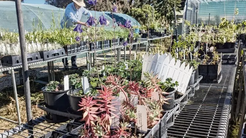 Get your garden blooming with the Friends of the Orange Botanic Garden Plant Sale