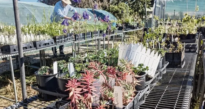 Get your garden blooming with the Friends of the Orange Botanic Garden Plant Sale
