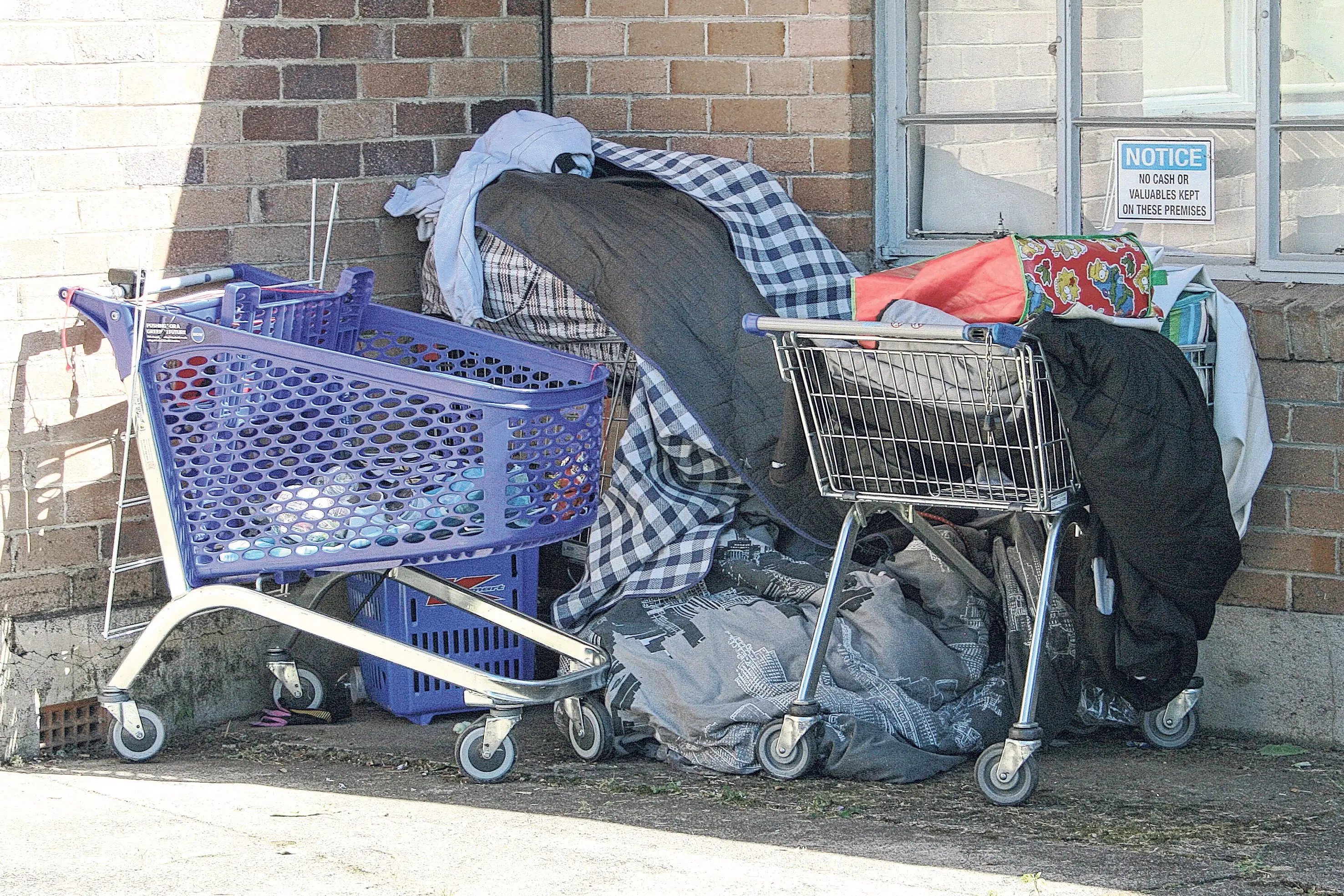 <p>The collector: homeless site beside Orange CWA in Robertson Park. Photos: Orange City Life</p>\\n