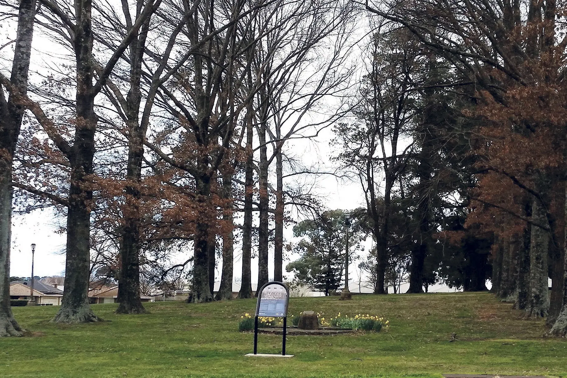 <p>Lest We Forget: Recently-announced funding for the Newman Park Great War Memorial Avenue in east Orange, is aimed at ensuring that sites such as these are not forgotten. Photos: Orange City Life</p>\\n