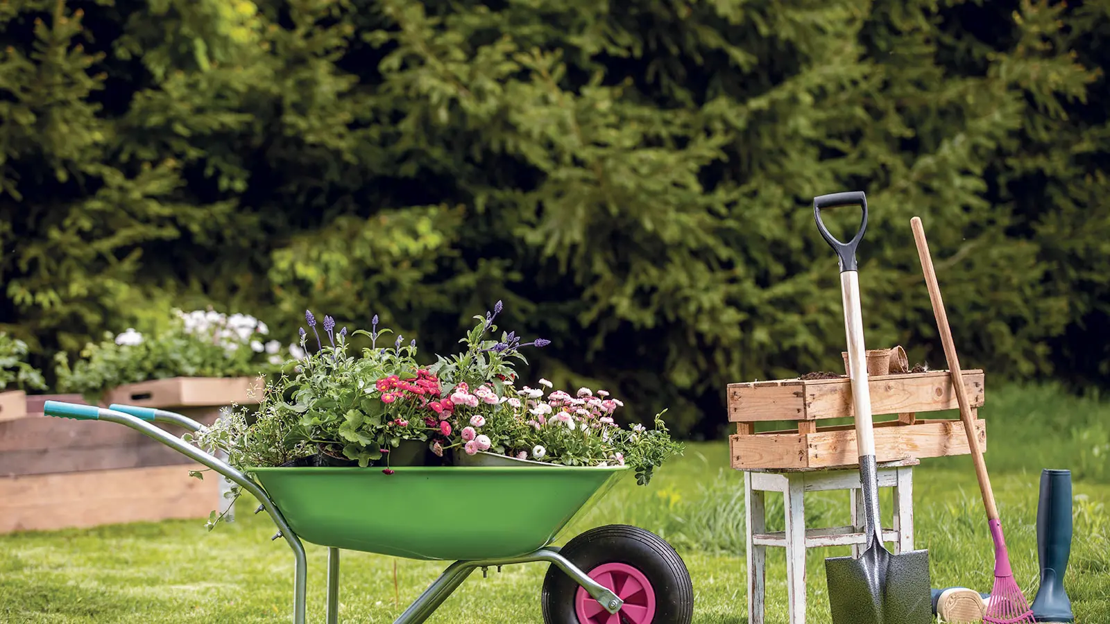 Quick tips on choosing a wheelbarrow