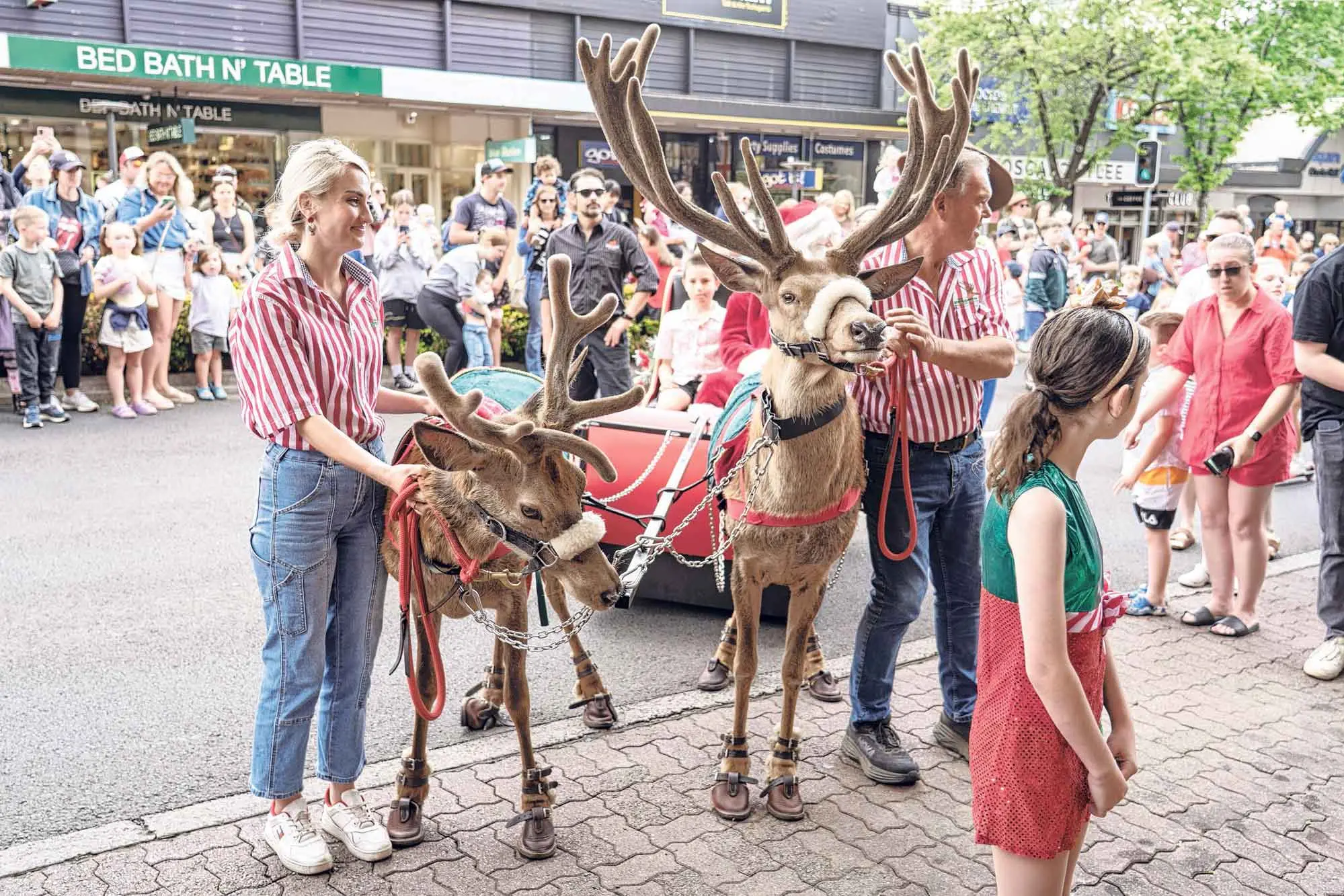 <p>Photo: Orange City Life. </p>\\n