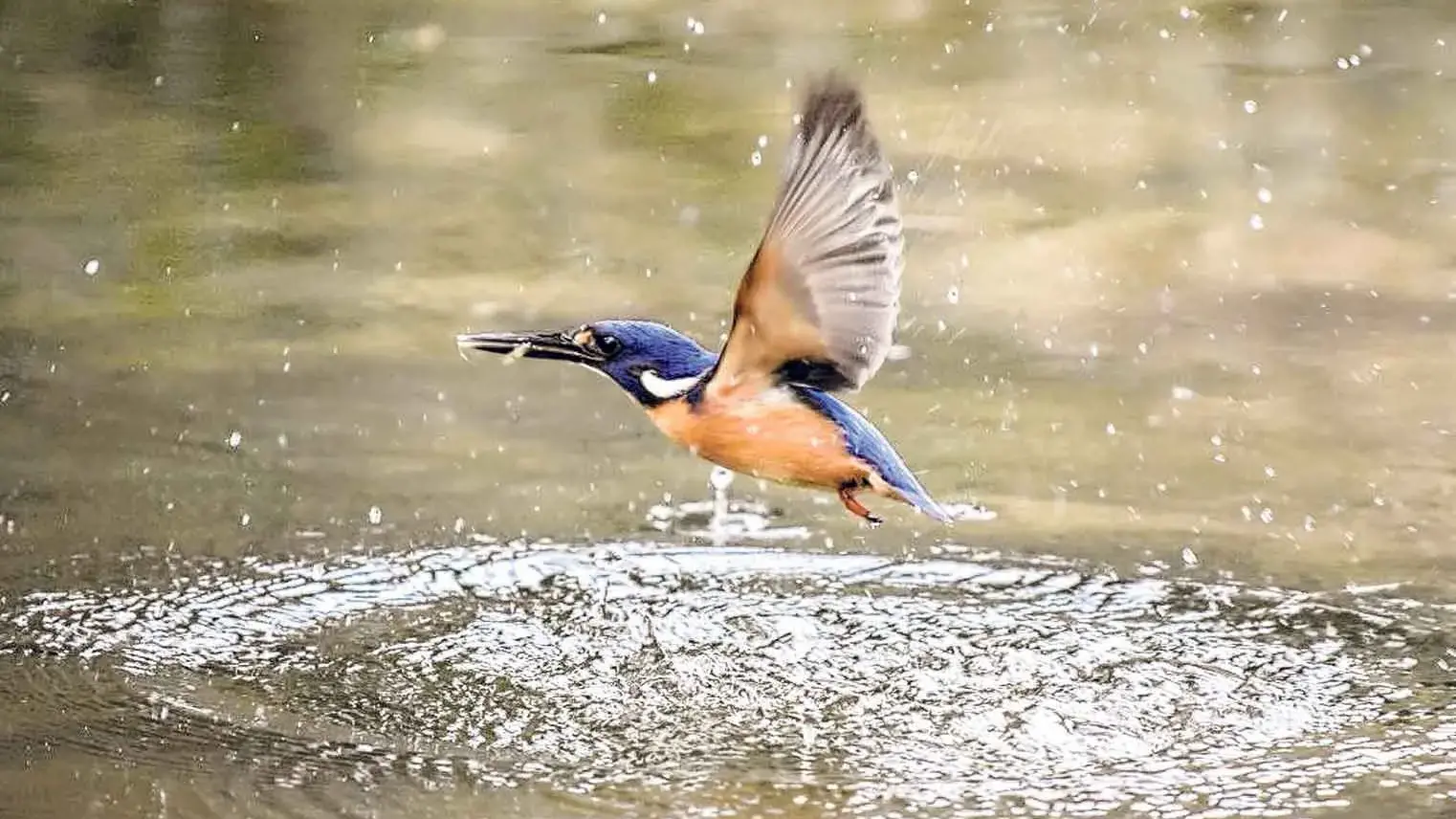 Best of the 'Central West is Best' photography competition