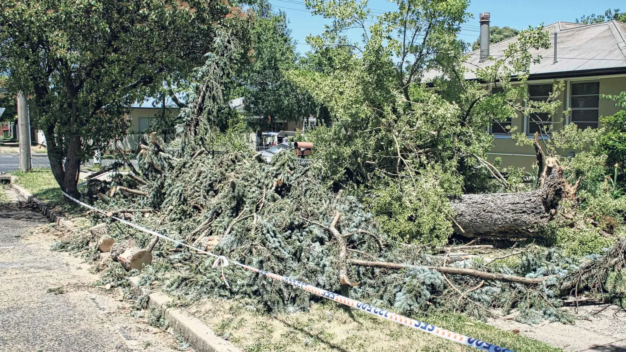 Short and sharp: Late spring squall knocks out Orange trees and power