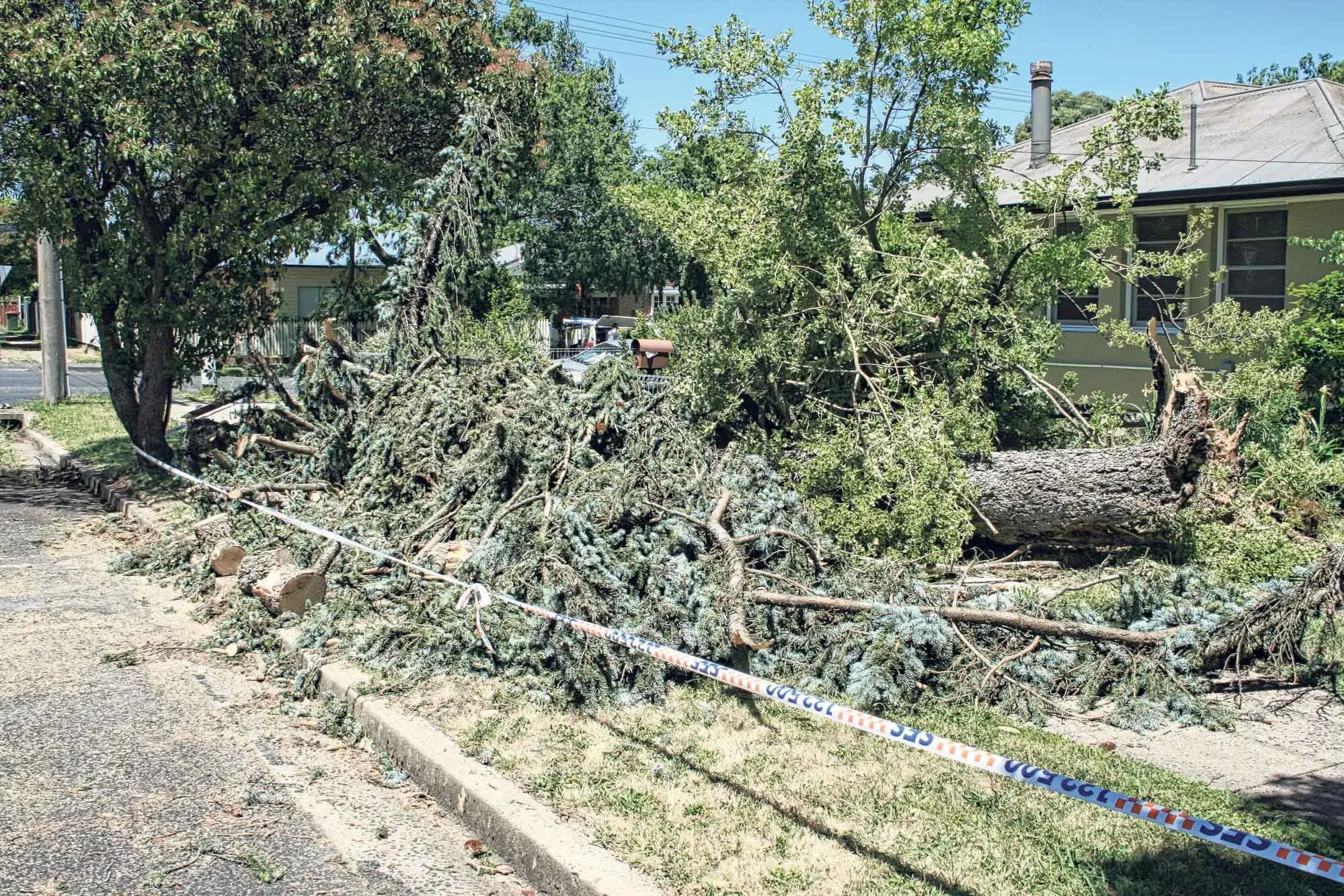 <p>A storm with winds of more than 100 km/h tore through the Colour City, bringing down trees and damaging vehicles. Photo: Orange City Life</p>\\n