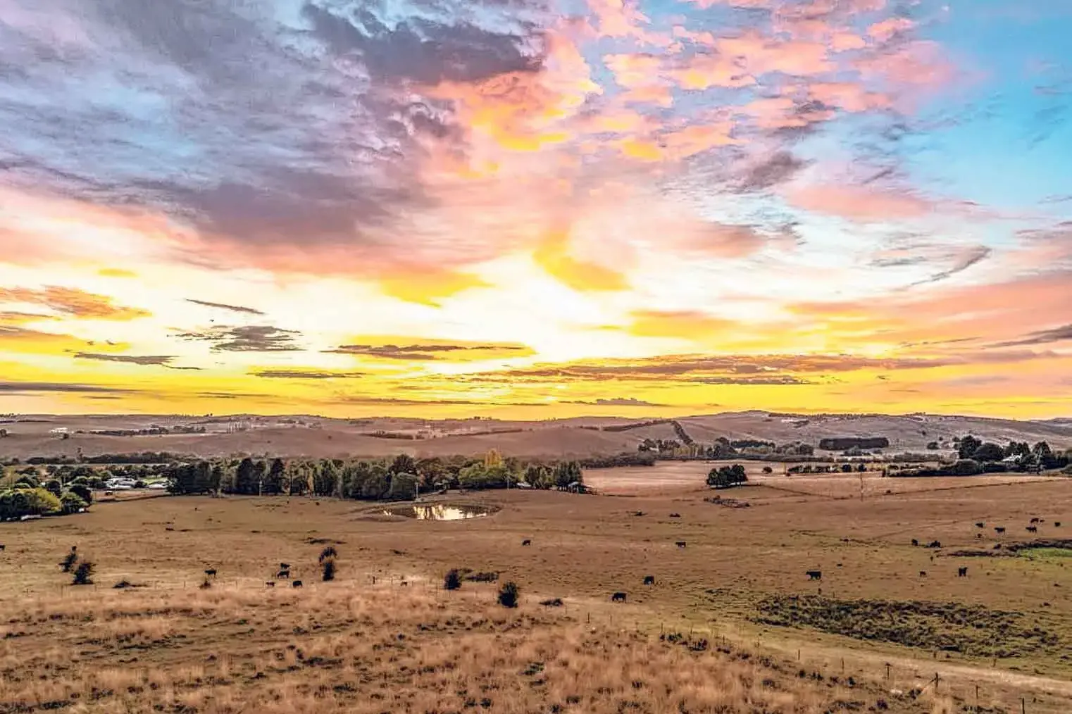 Best of the 'Central West is Best’ Photography Competition!