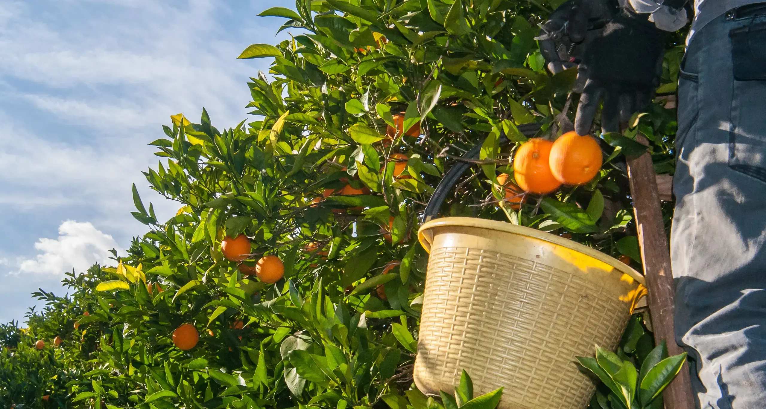 'Glorified shed': desperate conditions for migrant mums