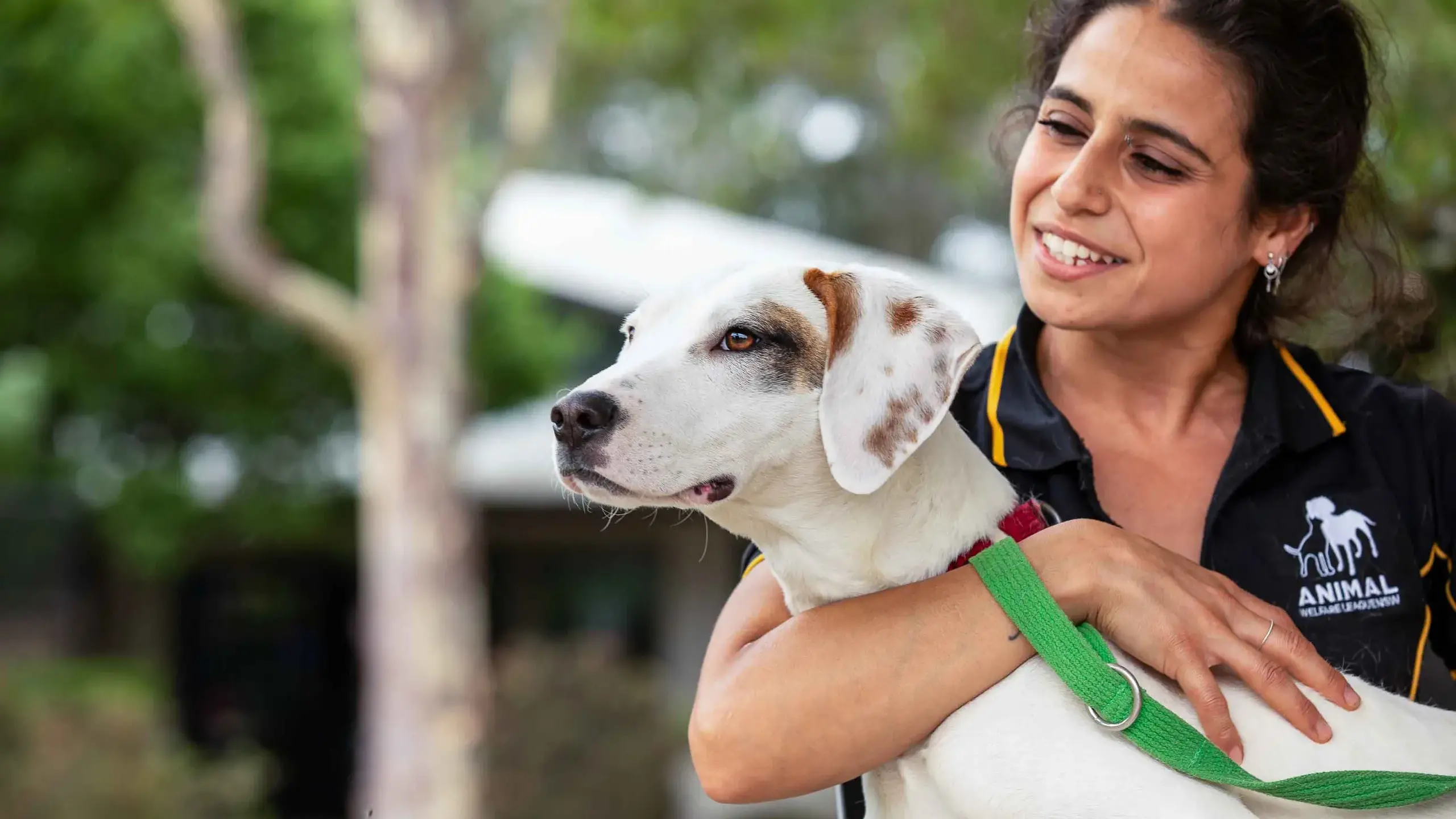 Adopt, don’t shop: NSW families urged to give rescue pets a Christmas home