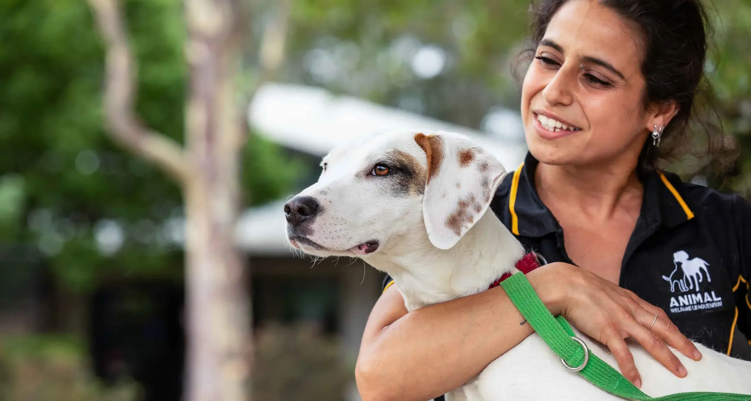 Adopt, don’t shop: NSW families urged to give rescue pets a Christmas home
