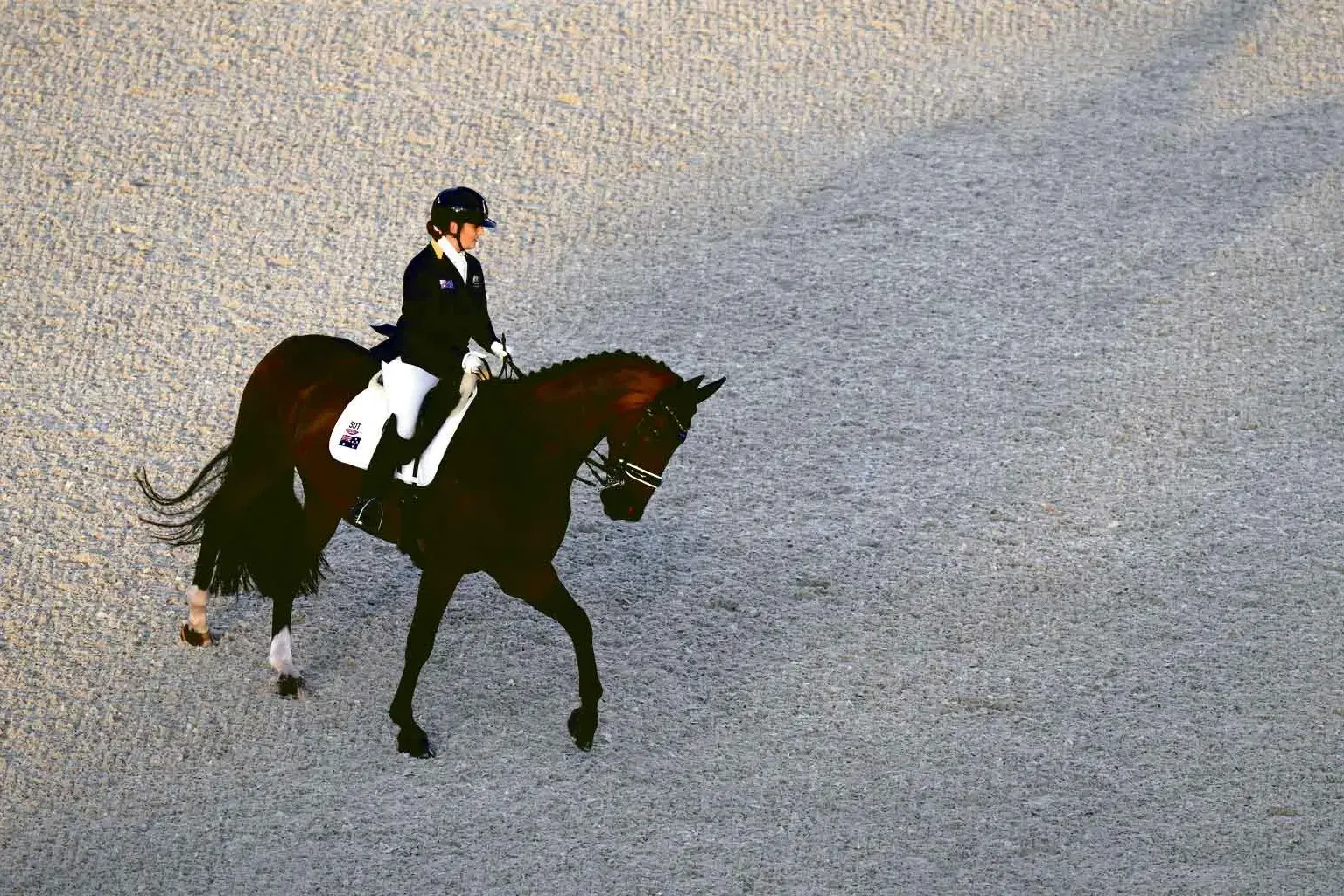 <p>Amelia White riding Genius 60 while competing at the Tokyo Paralympic Games in August, 2021. PHOTO: AAP/JOHN WALTON/PA WIRE</p>\\n