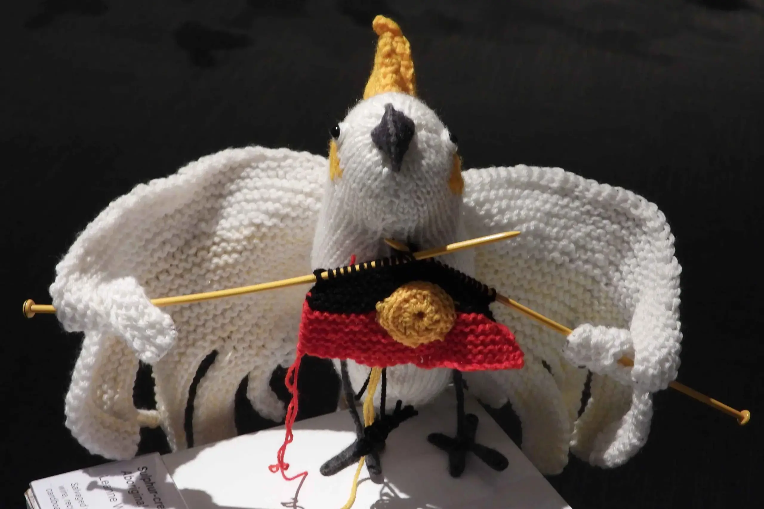 <p>Leanne Wicks knits native Australian birds with scientific accuracy as a way to raise awareness. Photo: AAP/PR Image Photo</p>\\n