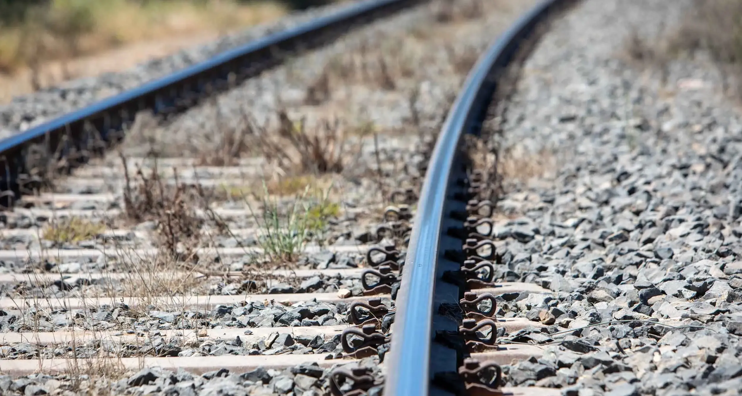 Heatwave forces train slowdowns and service changes across NSW