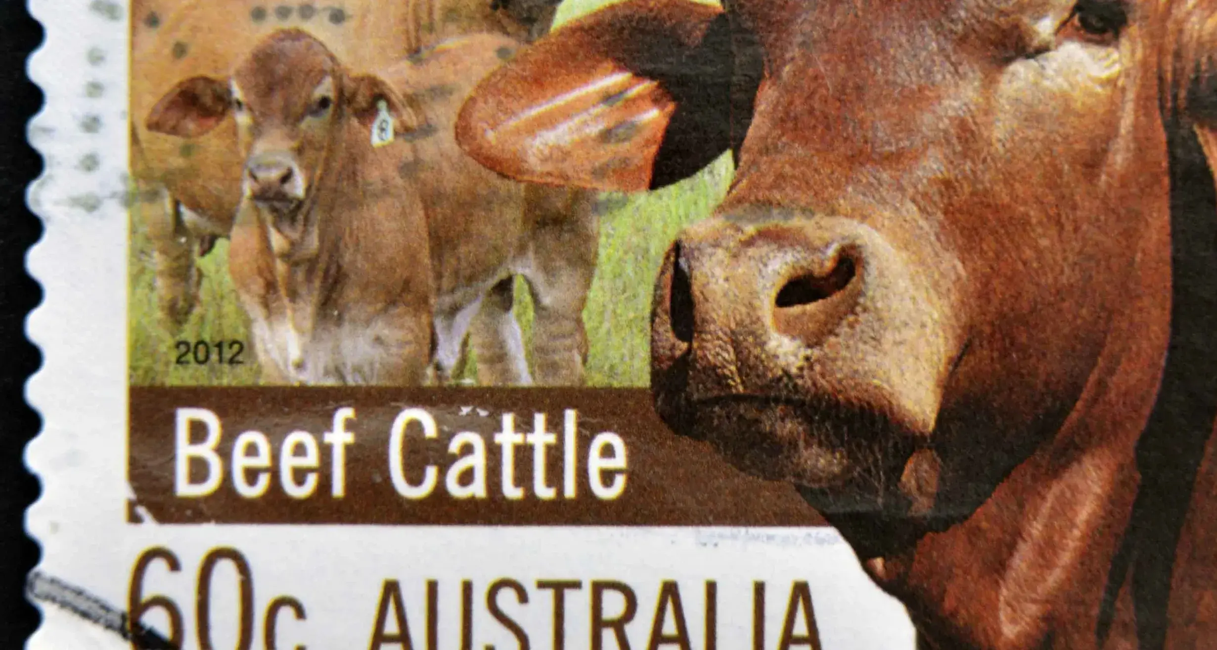Aussie meat in high demand despite international beef