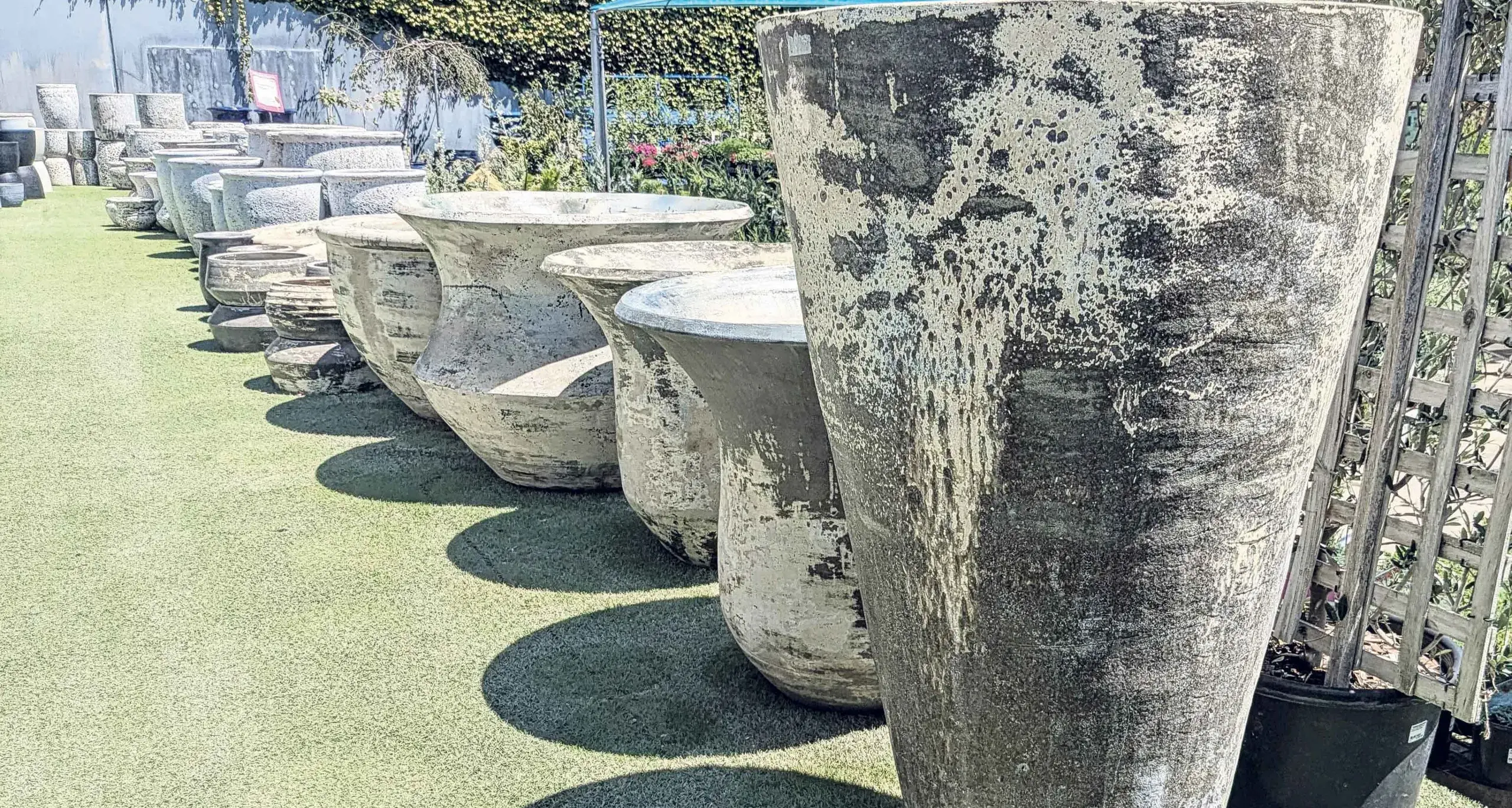 Bigger range, changed hours: What's new at Thompson's Garden Centre