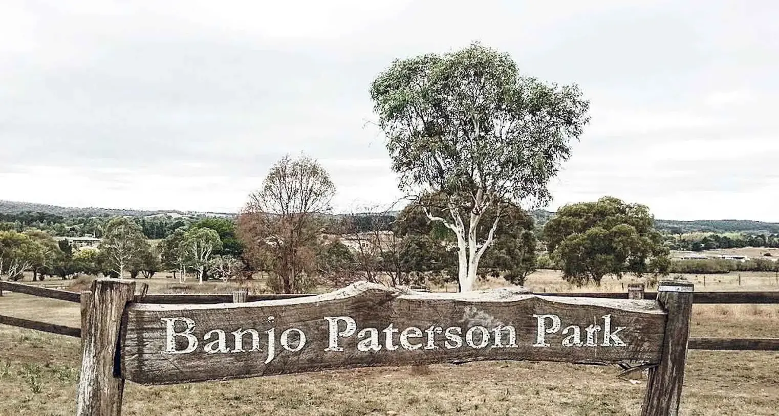 Banjo's Birthday Celebrations