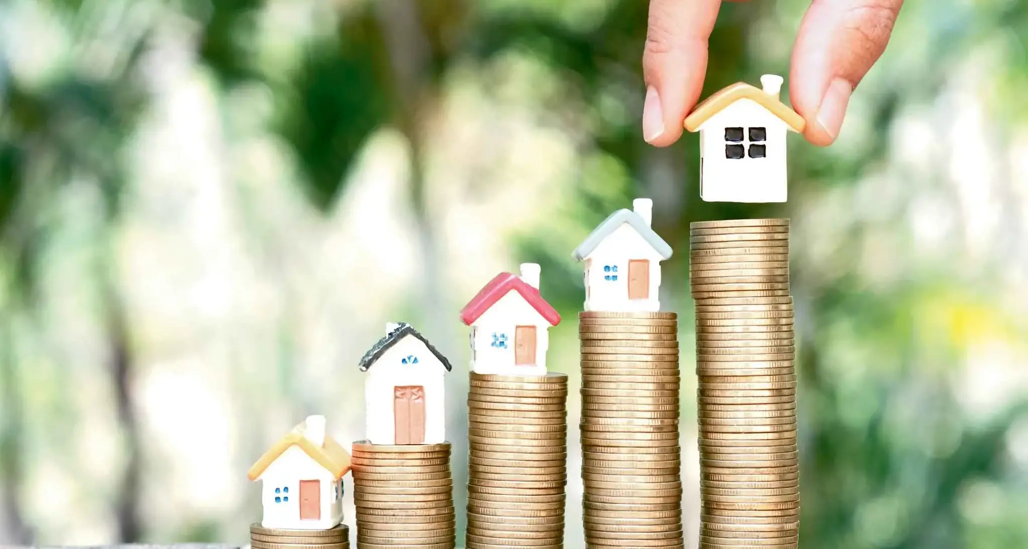 Treasurer urged to consider capital gains tax discount reform as investor groups warn of rental fallout