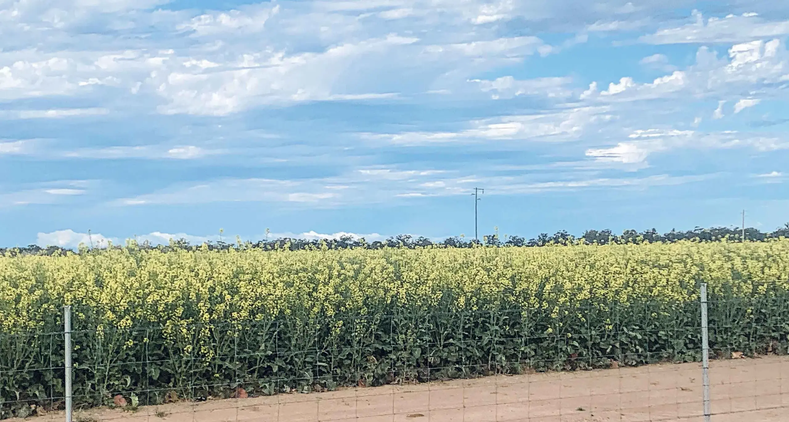 Tax shock for NSW farmers