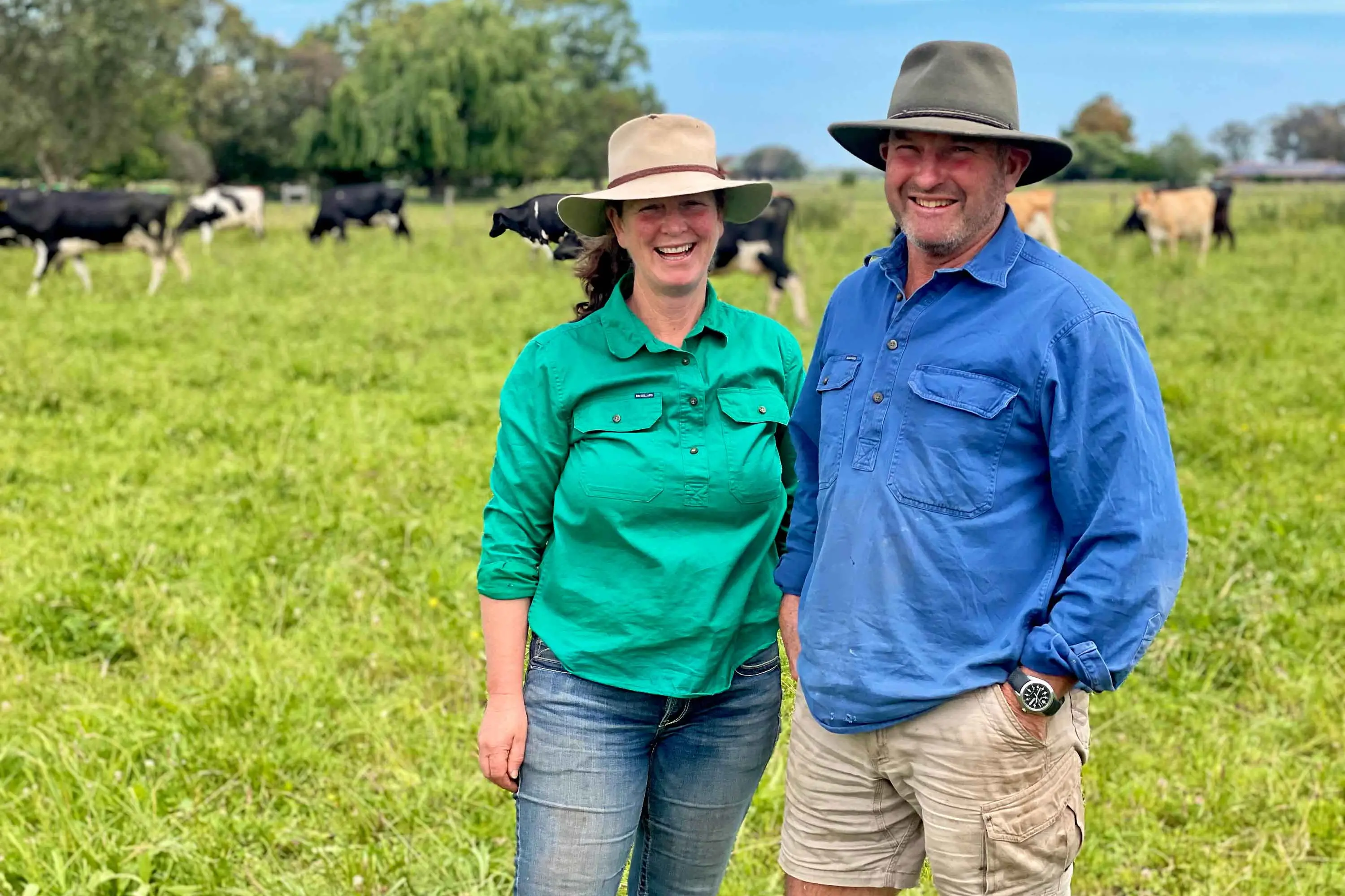 <p>Kate and Peter\\'s dairy farm uses a tenth of the fertiliser it once did. Photo: AAP/Handout</p>\\n