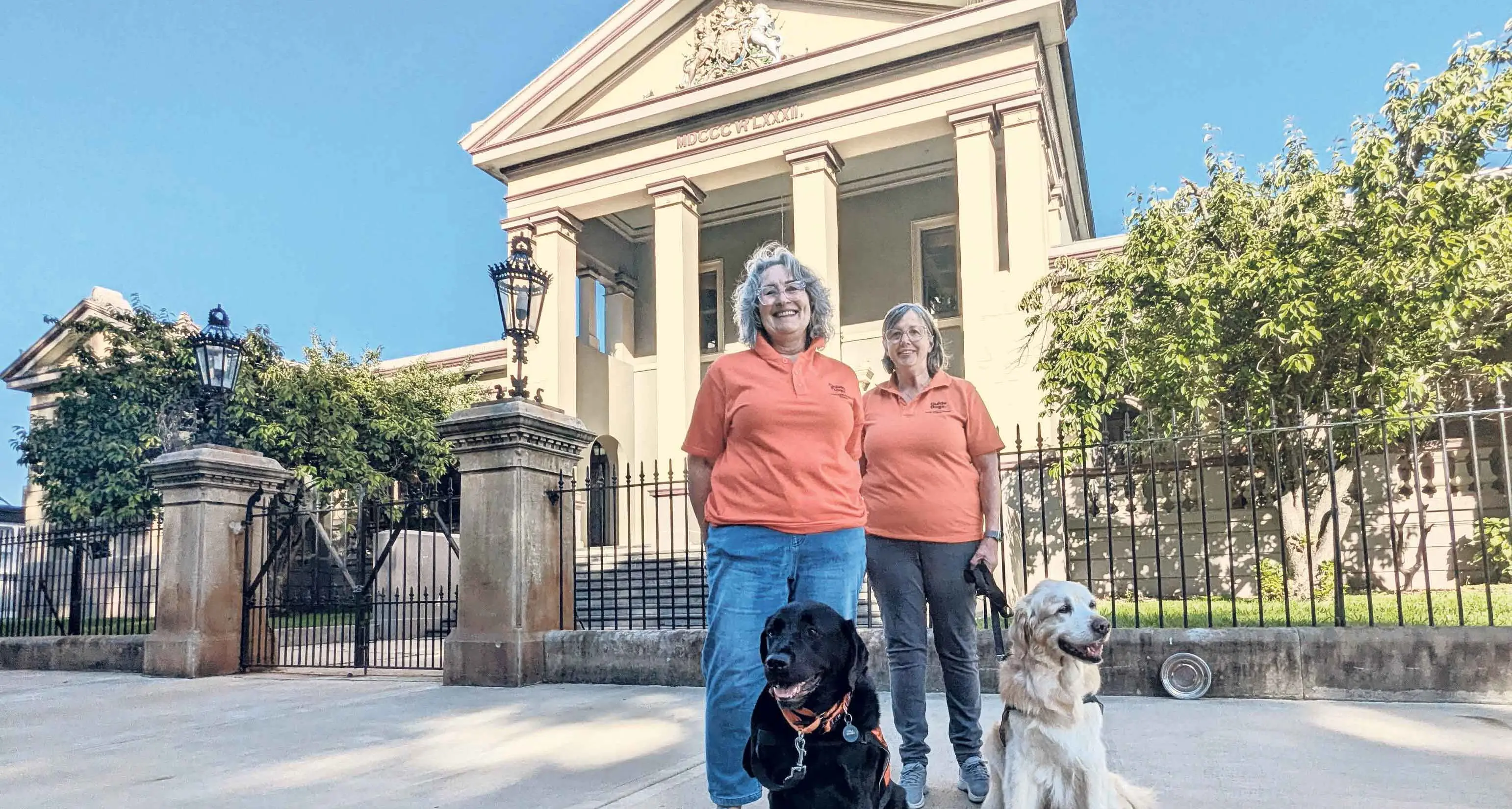 Canine Court Companion Program looking for volunteer handlers