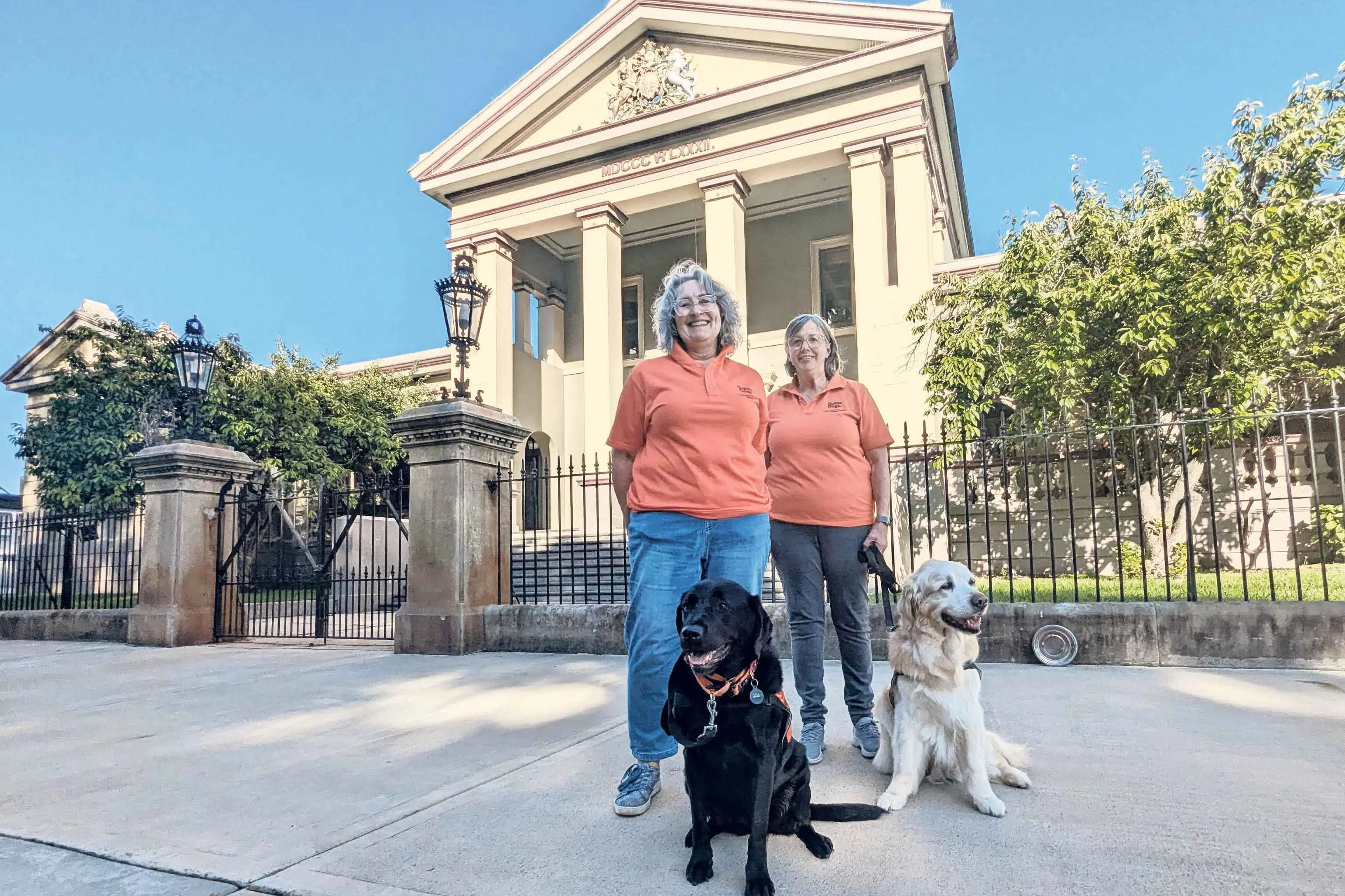 Canine Court Companion Program looking for volunteer handlers