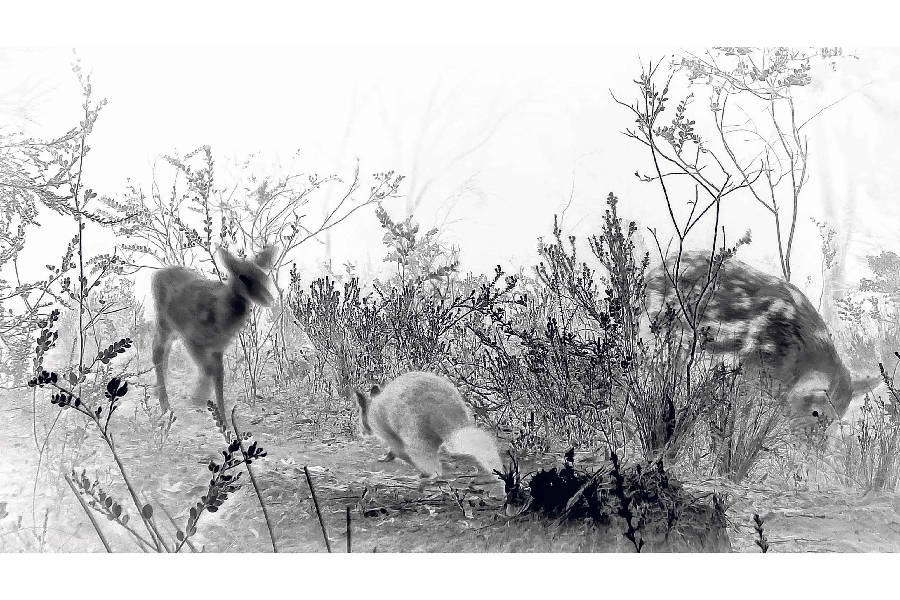 <p>Image caption: Nicole Welch, \\'UNVEILING 1 \\u2013 last quarter moon, 19\\u00B0, 4th of March, 2024\\u2019 gicle\\u0301e print. \\u00A9 the artist.</p>\\n