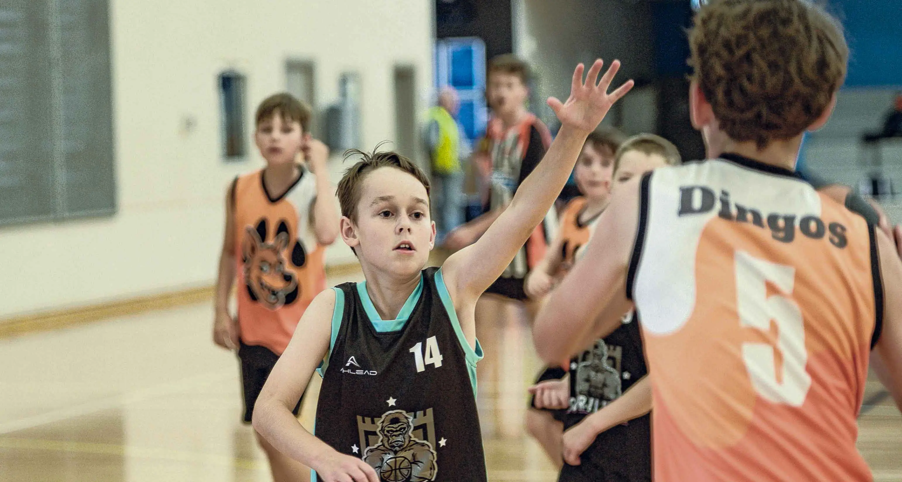 Primary School Boys Basketball