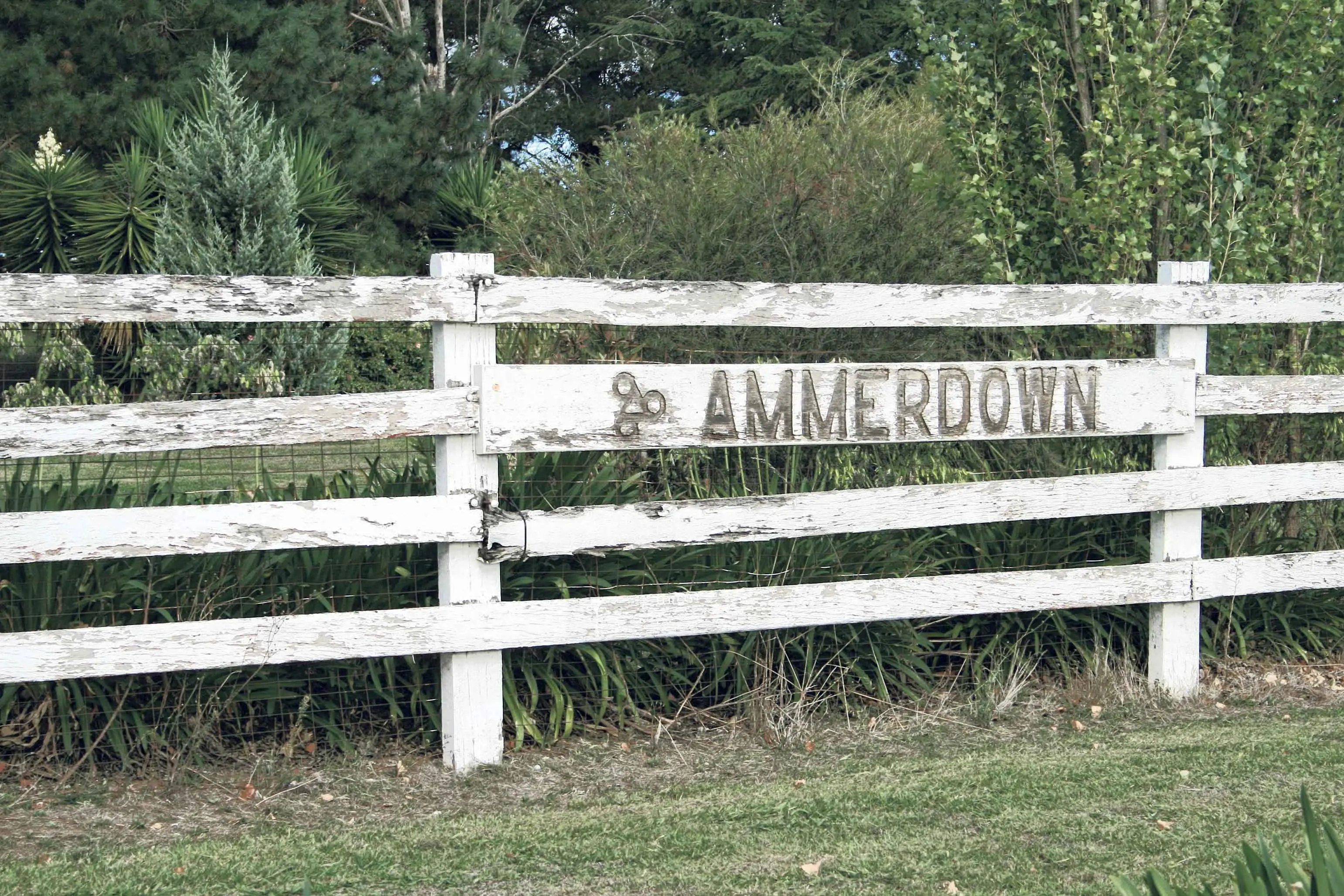 <p>Fading and weather-worn: The \\'Ammerdown\\' estate hoarding in north Orange is one of the last vestiges of the BODC. Photo: Orange City Life</p>\\n