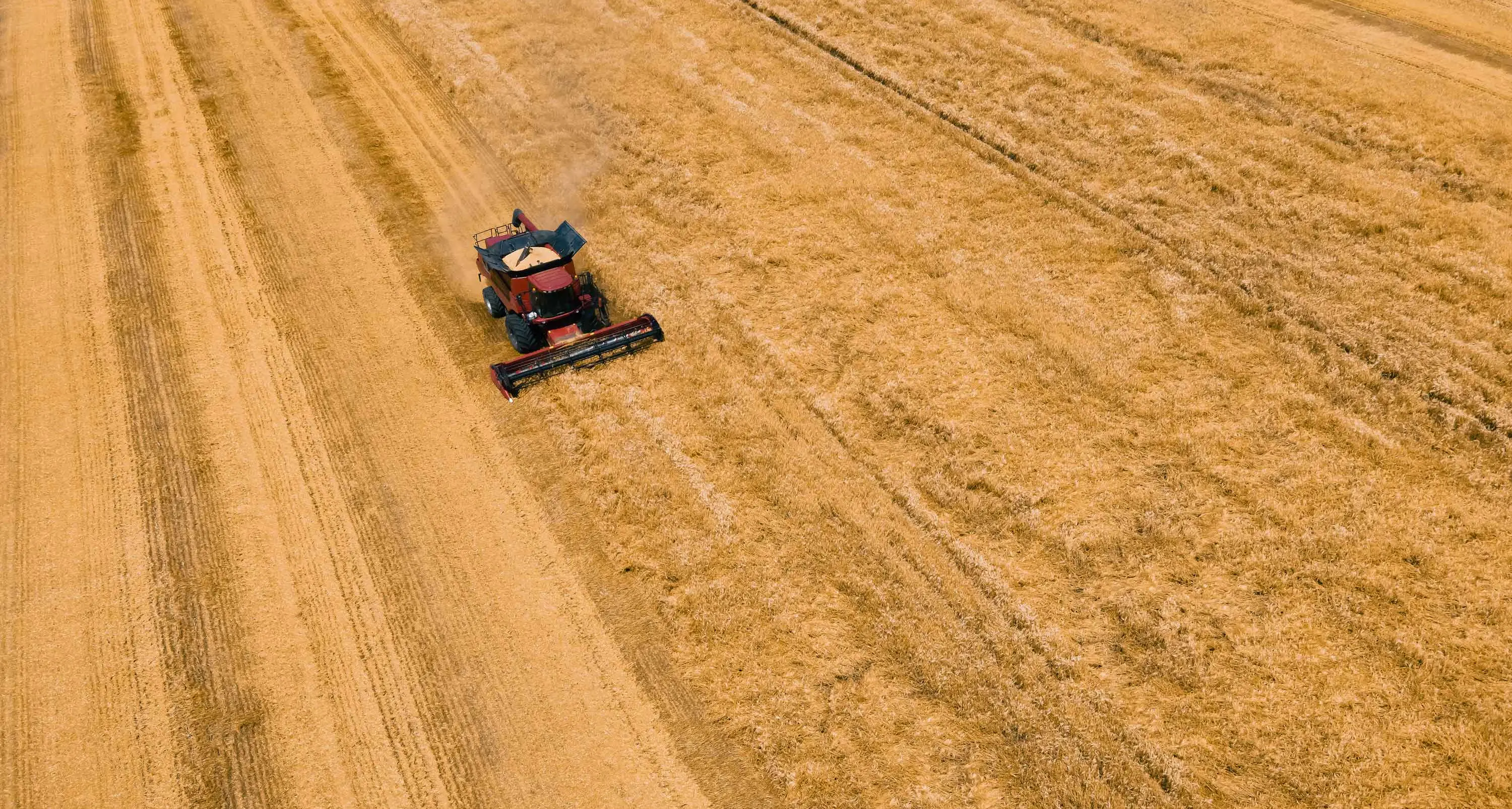 Fuel, fertiliser shortages could deliver barren harvest