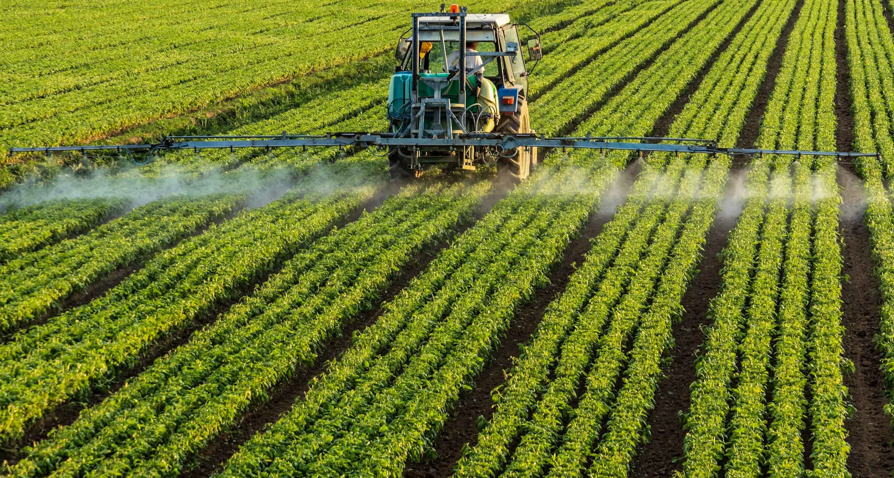 The 'horrific' disease hitting regional Aussies hardest