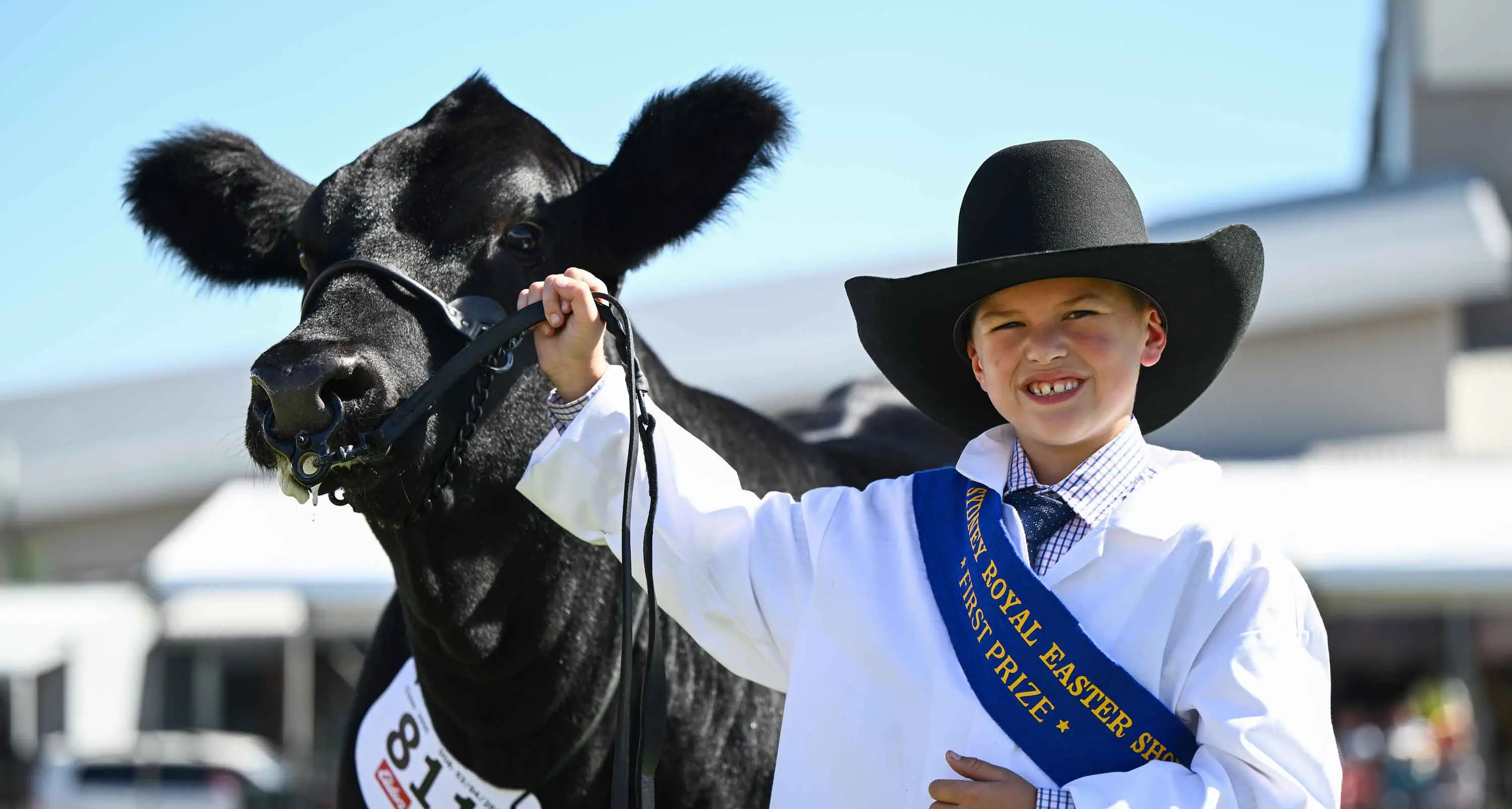 Fuel crunch looms but the show must go on