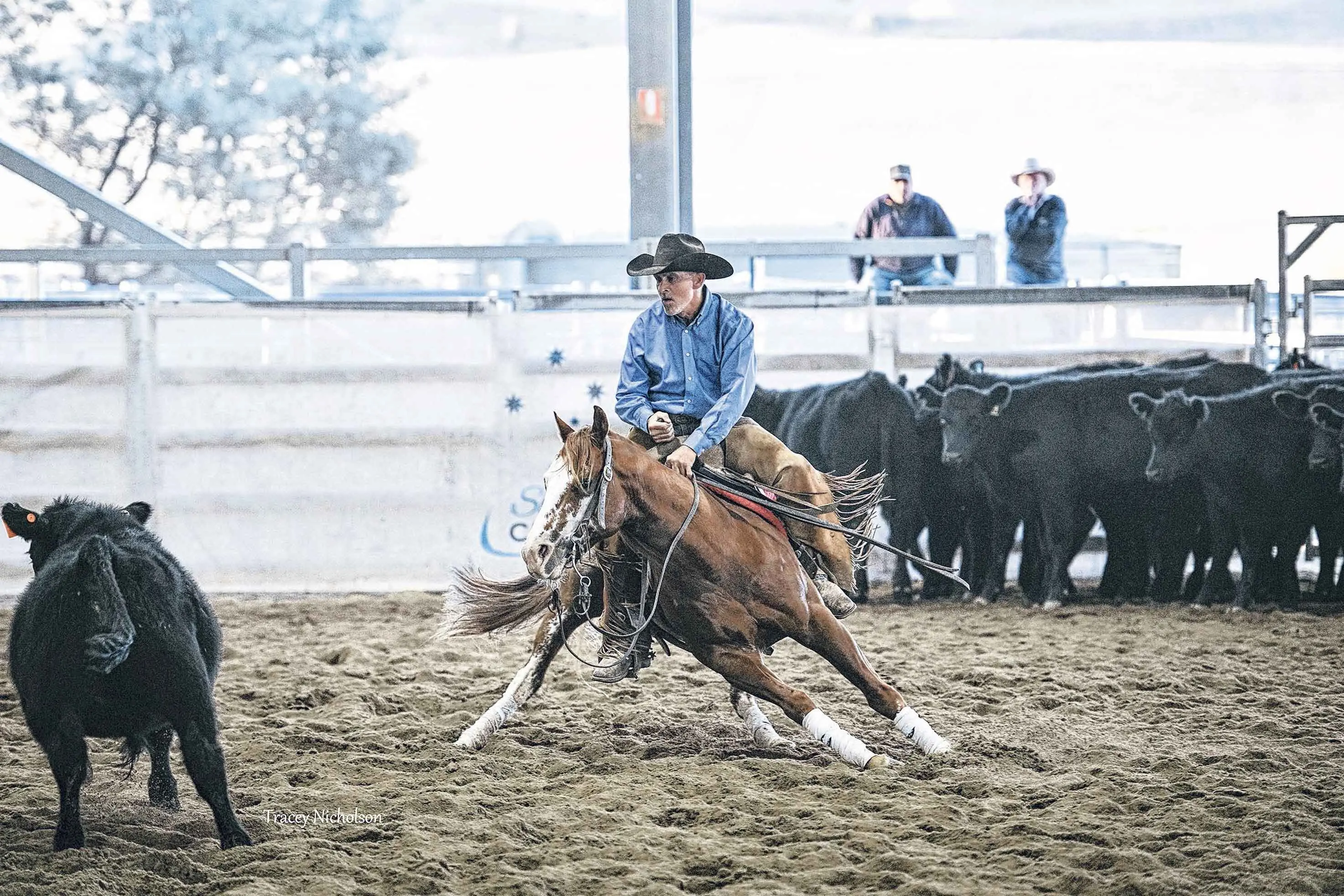 Exceptional talents of horse and rider on display at Blayney Easter Cutting Show