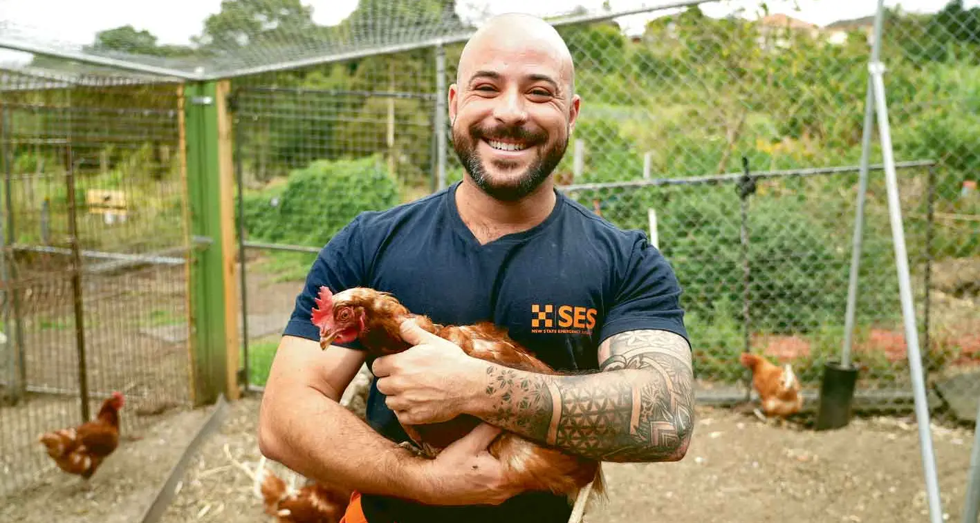 Pet owners urged to include animals in storm-season plans