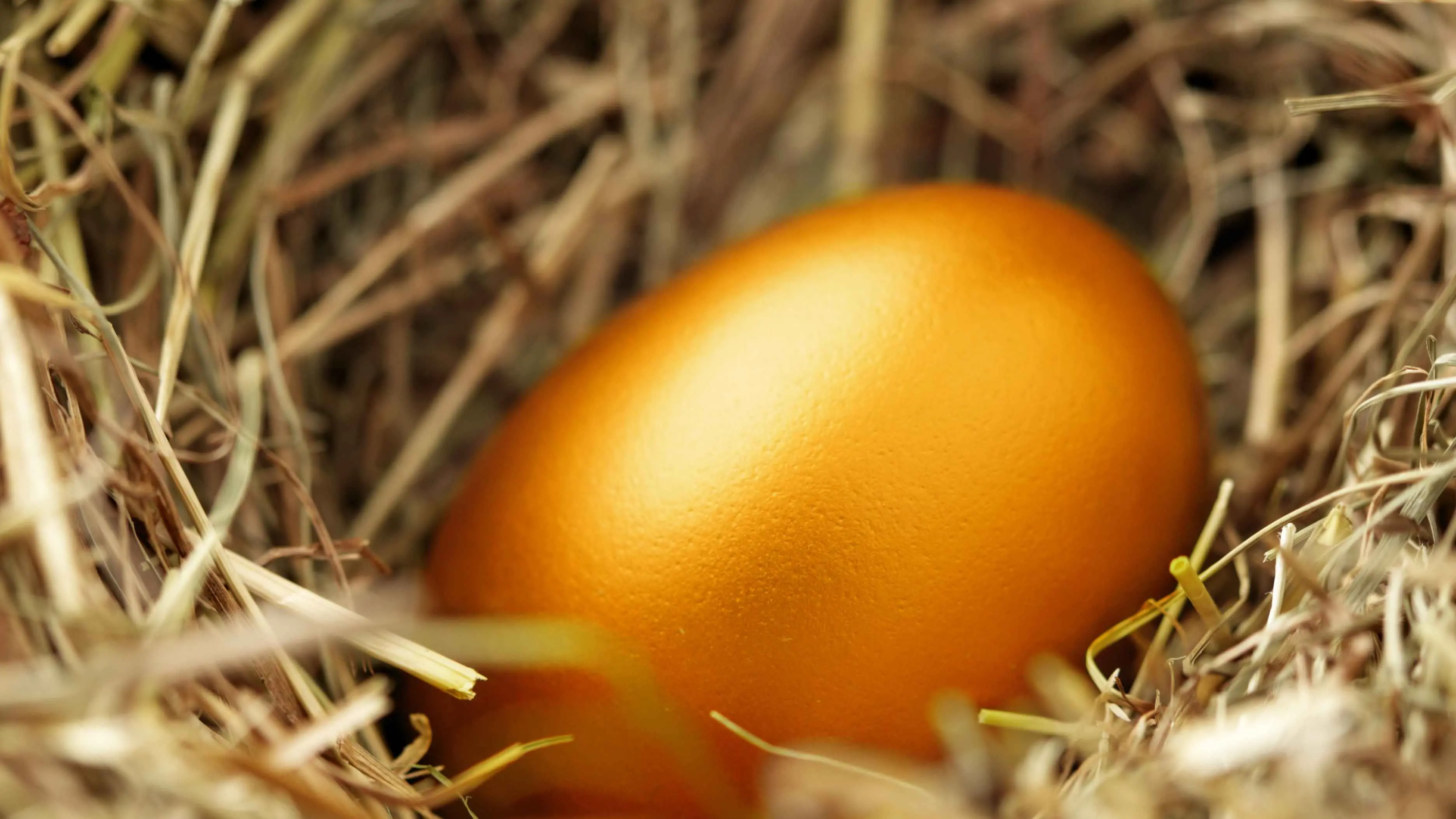 Easter – a time for ‘nest eggs’