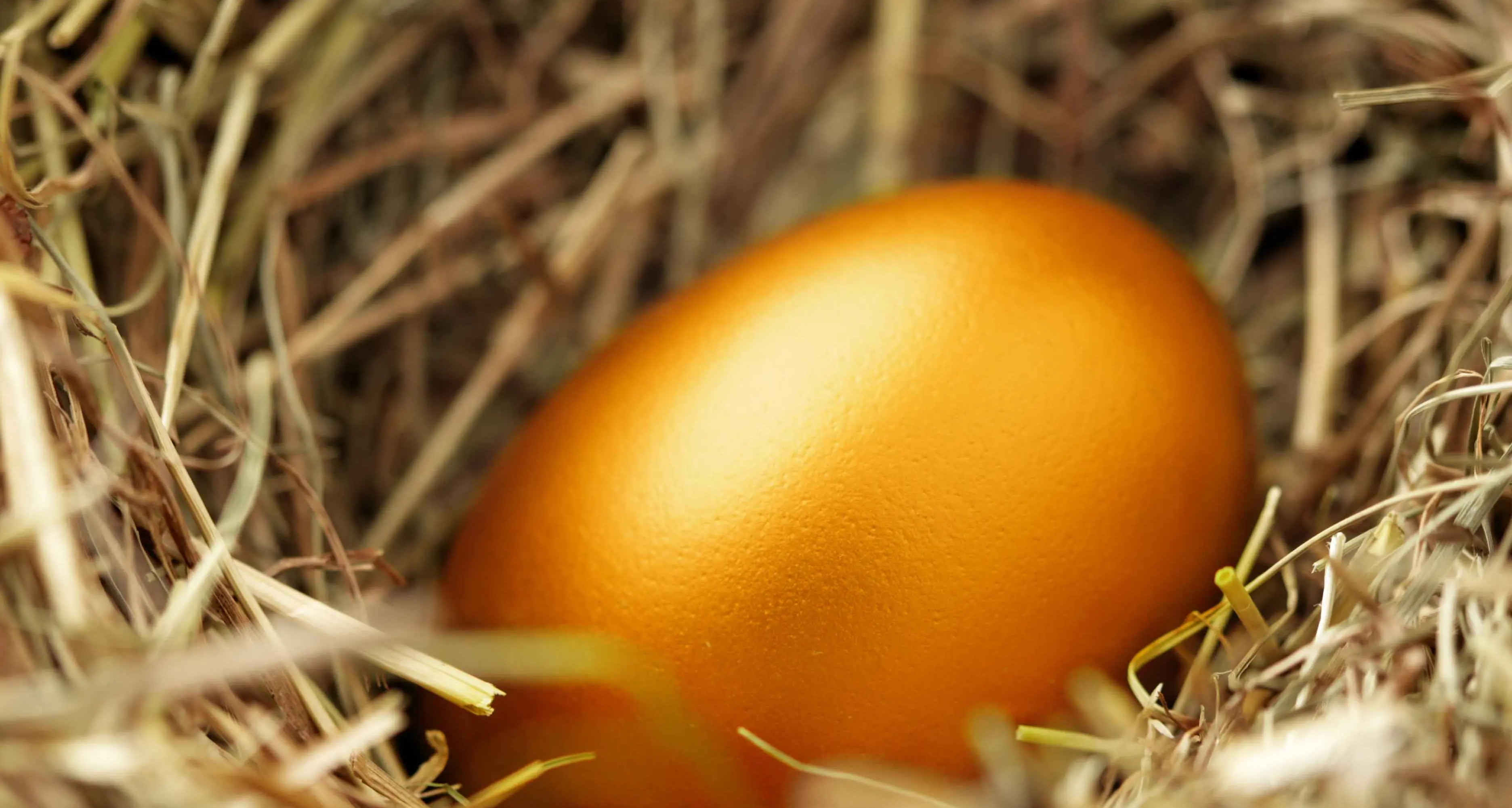 Easter – a time for ‘nest eggs’