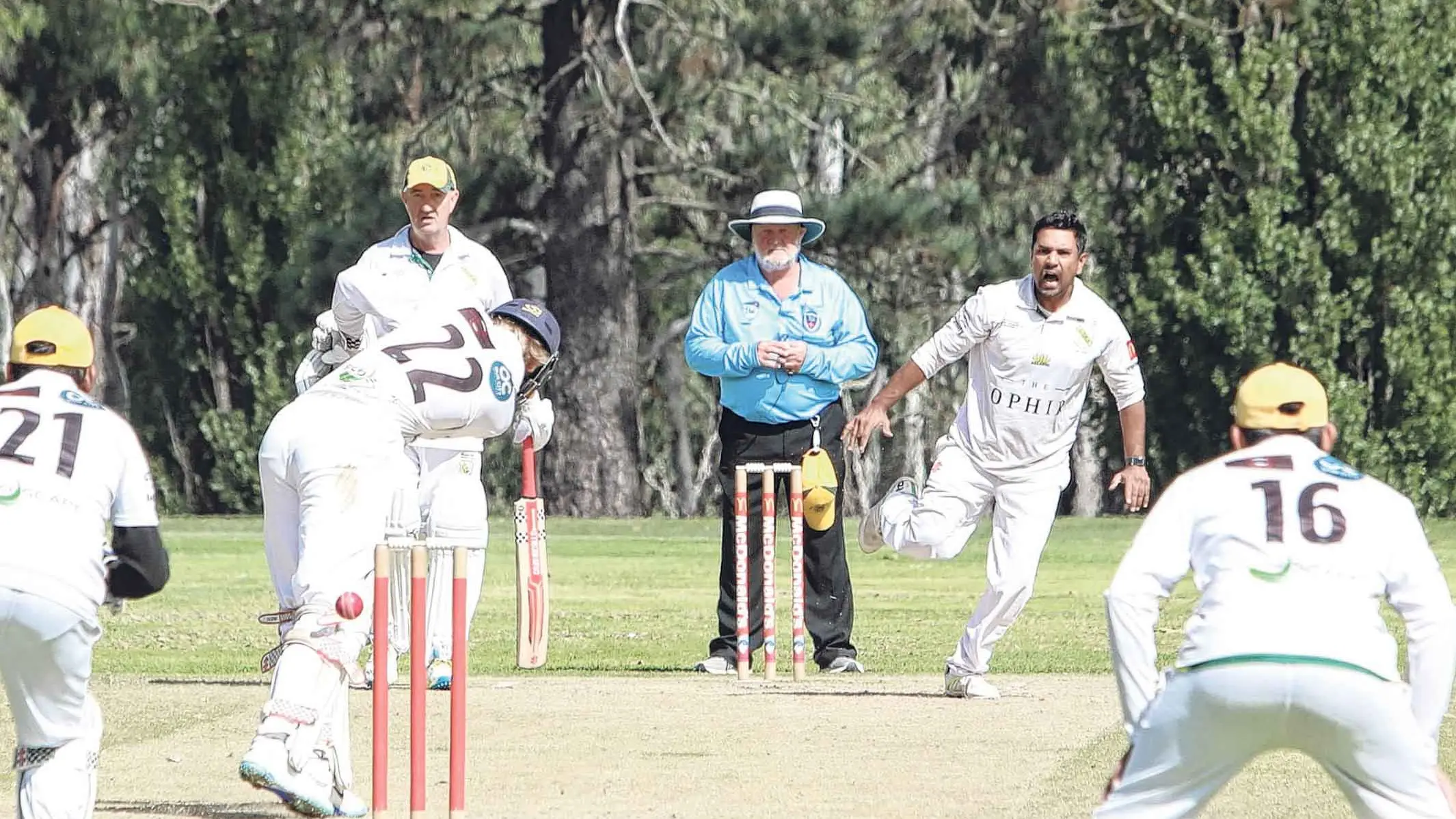 Orange District Cricket Association Grand Finals