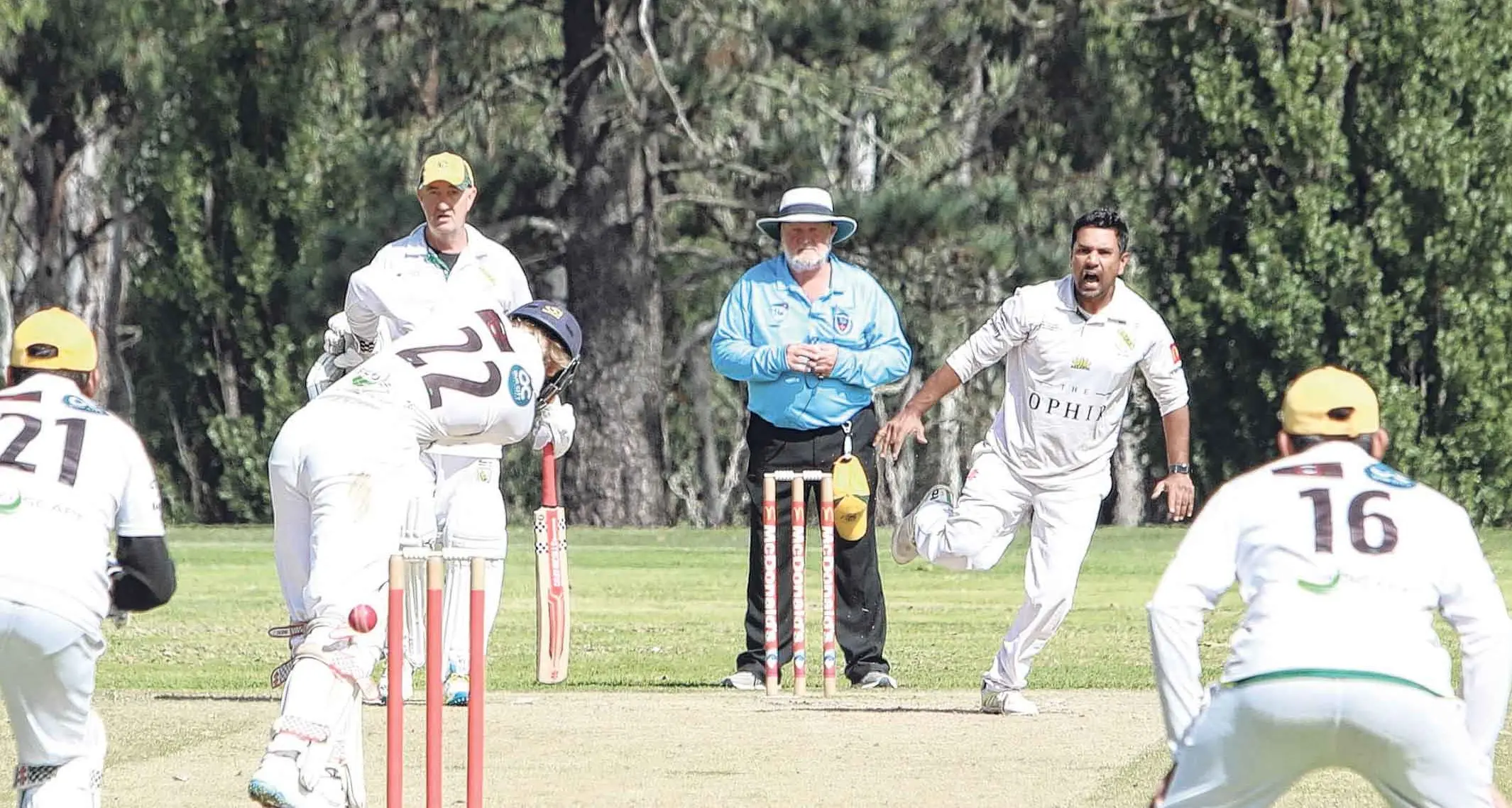 Orange District Cricket Association Grand Finals
