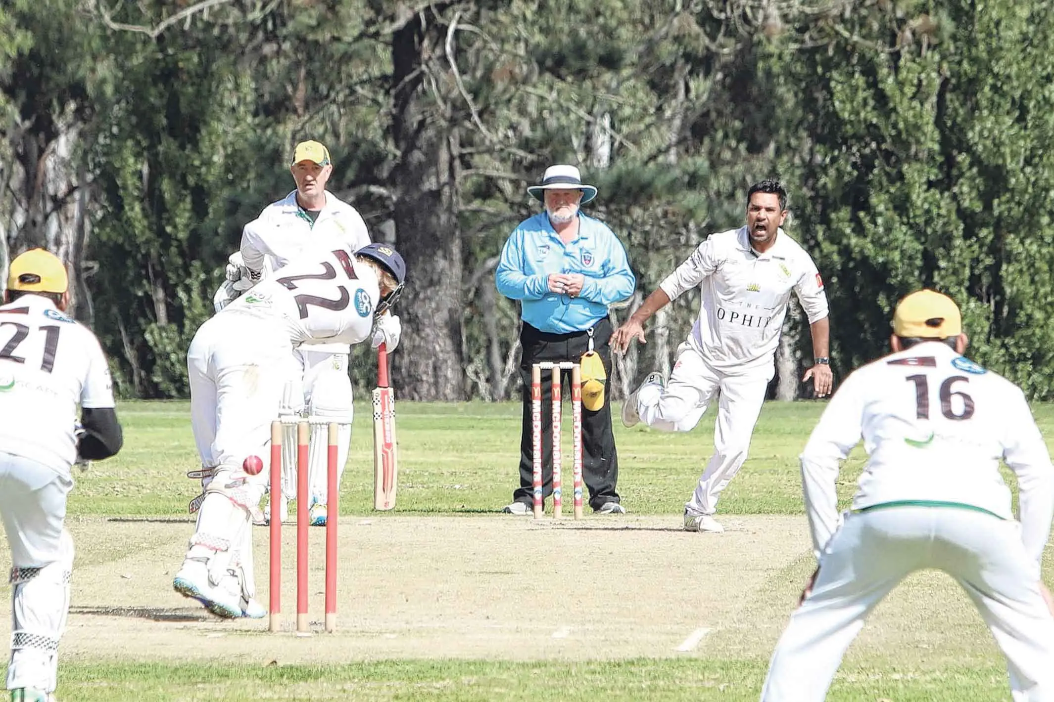 <p>Photo: Orange City Life. </p>\\n