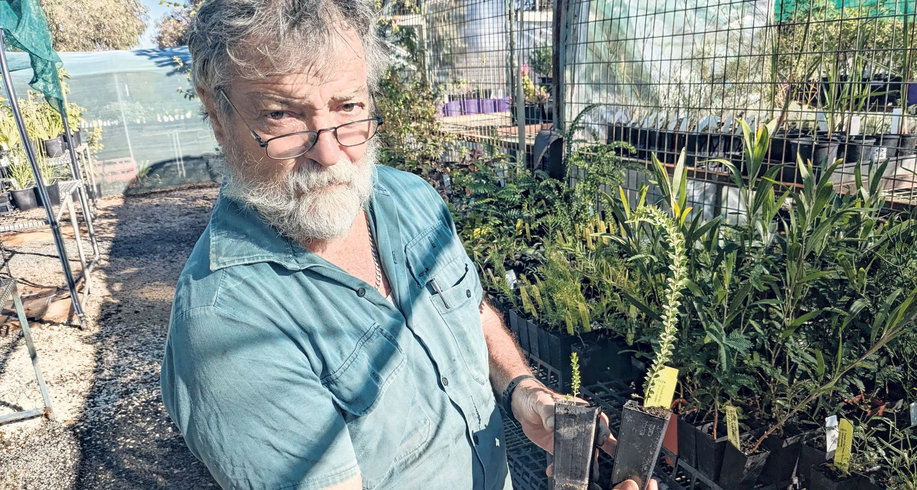 Plants to make your garden beautiful above and below ground