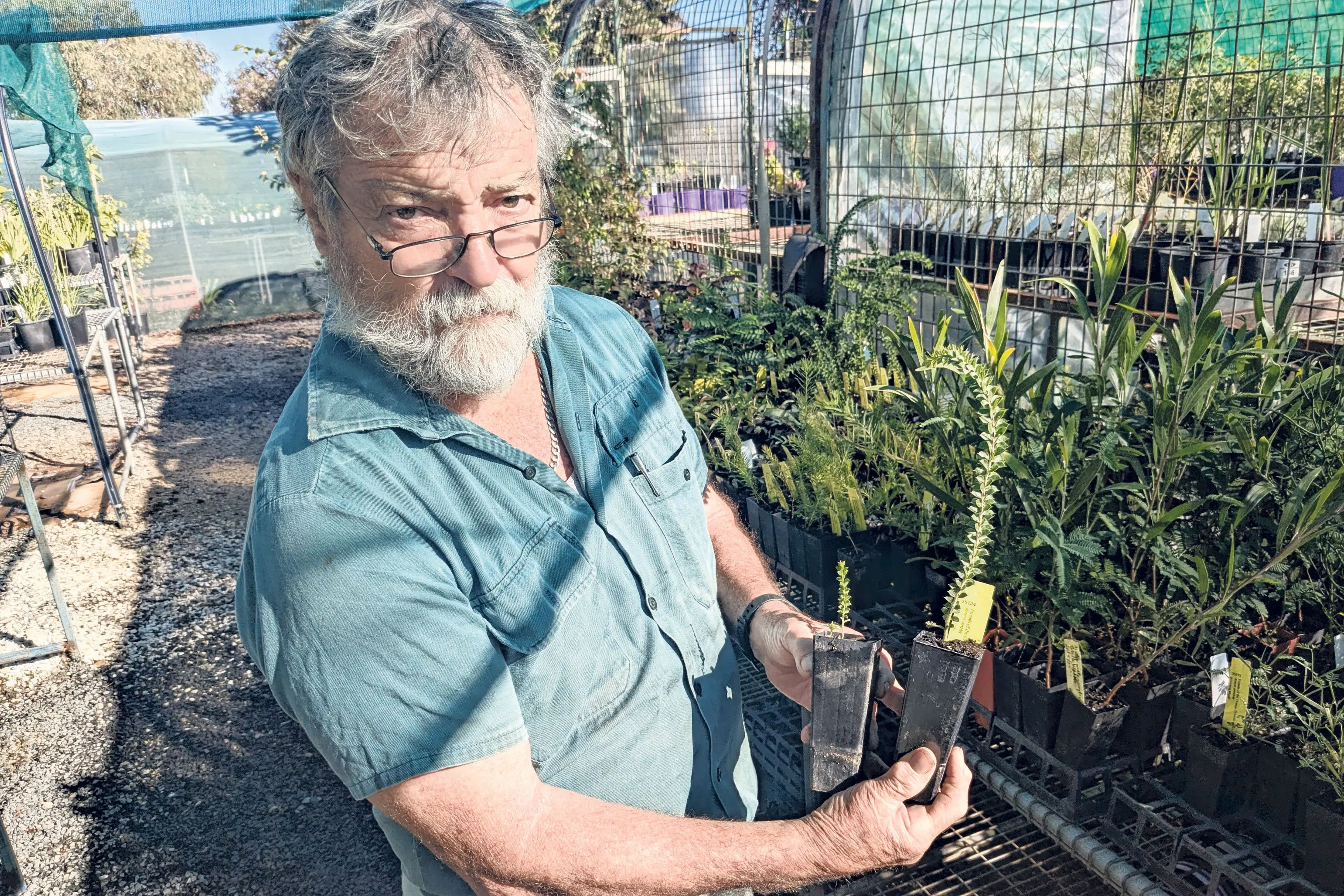 <p>Volunteer Chris Mills shows the significant plant growth due to inoculating plants. Both were planted at the same time, but only one was inoculated.</p>\\n