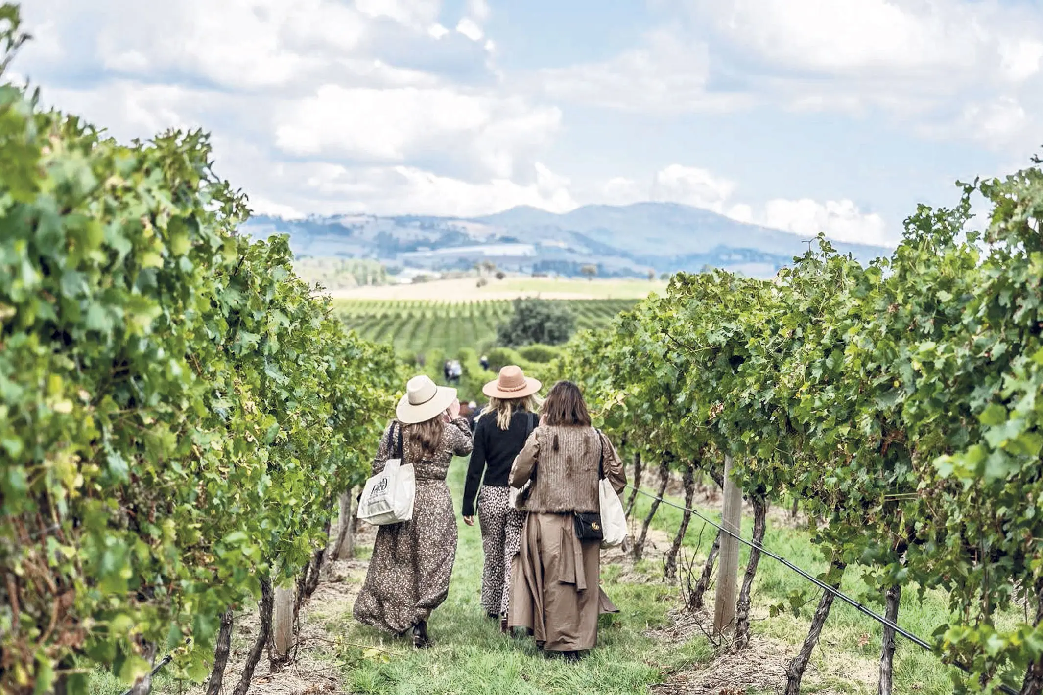 Vote for Orange in NSW Top Tourism Town competition