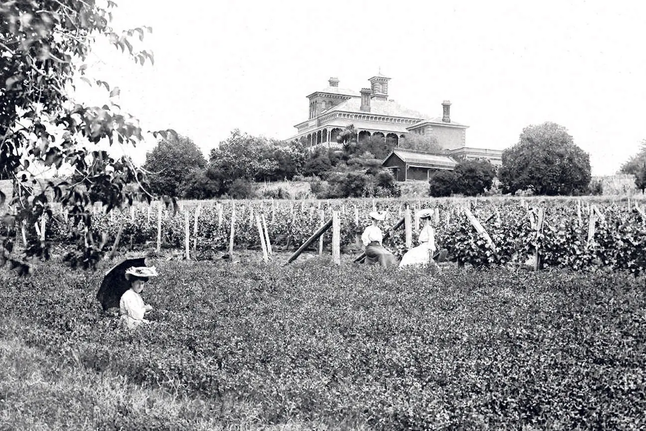 <p>The extensive gardens surrounding Duntryleague in the early 1900s.</p>\\n