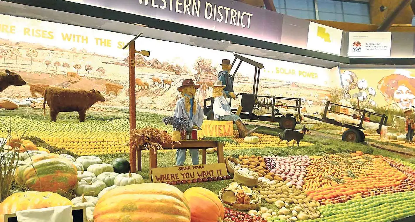 Royal western produce win and volunteer boost are good signs for our Orange Show