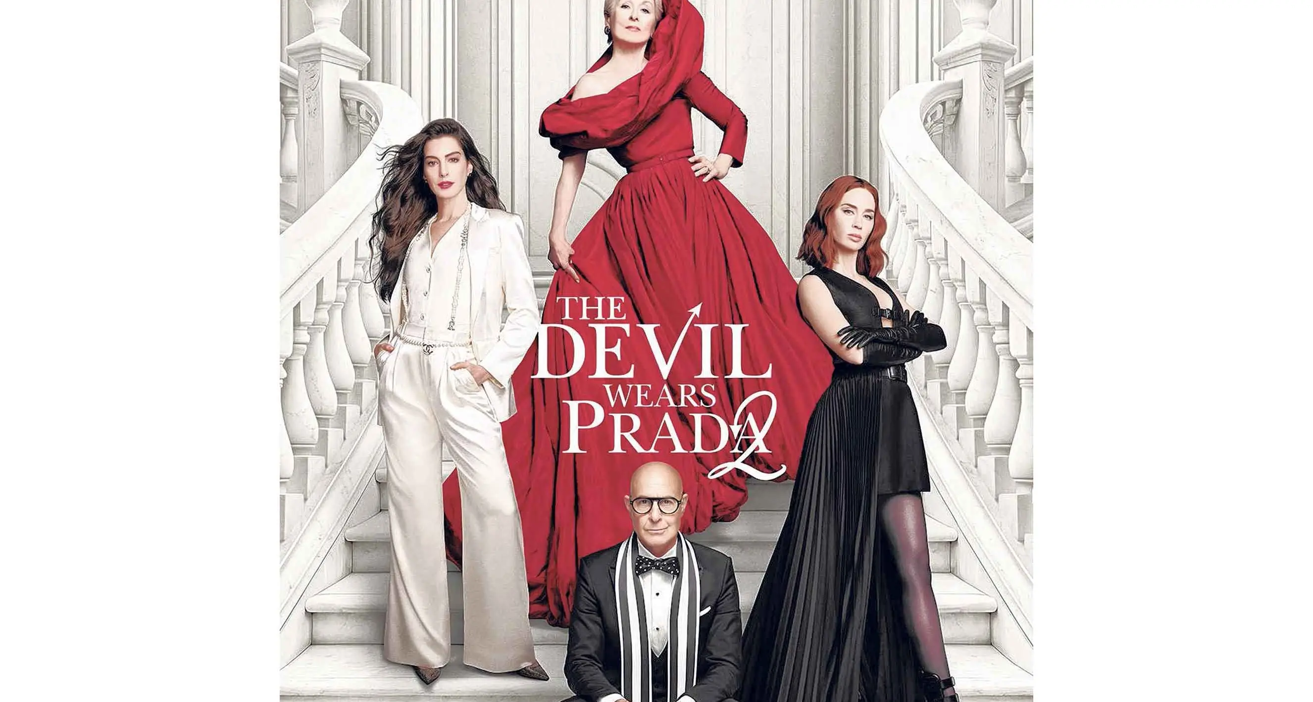 Movie night to help our four-legged friends