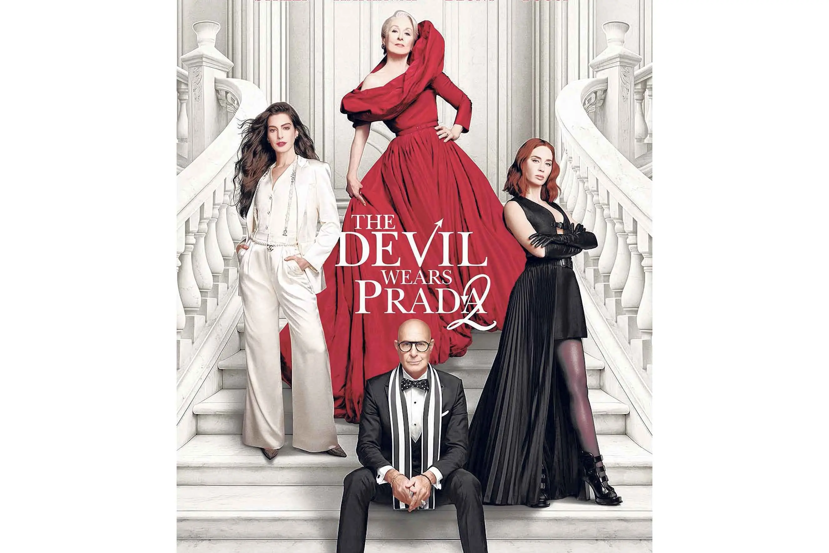 Movie night to help our four-legged friends